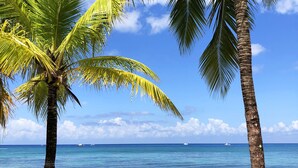 私人海灘、躺椅、沙灘巾、滑浪風帆
