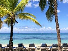 Private beach, sun-loungers, beach towels, windsurfing