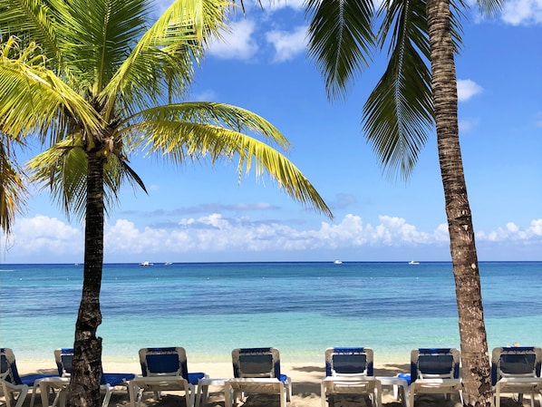 A beach with clear blue water, palm trees, and rows of beach chairs. - Allegro Cozumel All Inclusive (Cozumel)
