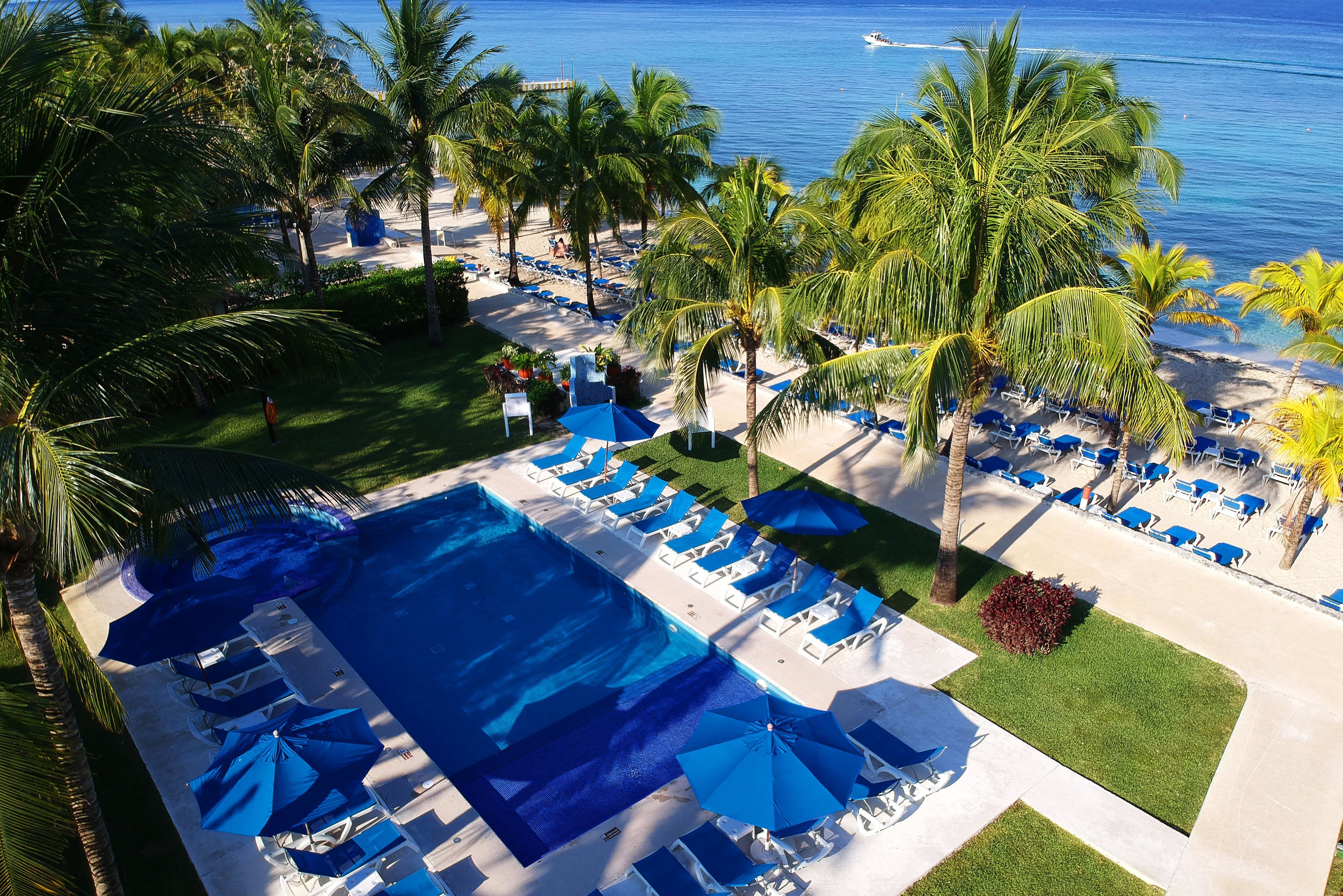 A pool area with blue umbrellas and lounge chairs, surrounded by palm trees and a view of the ocean.