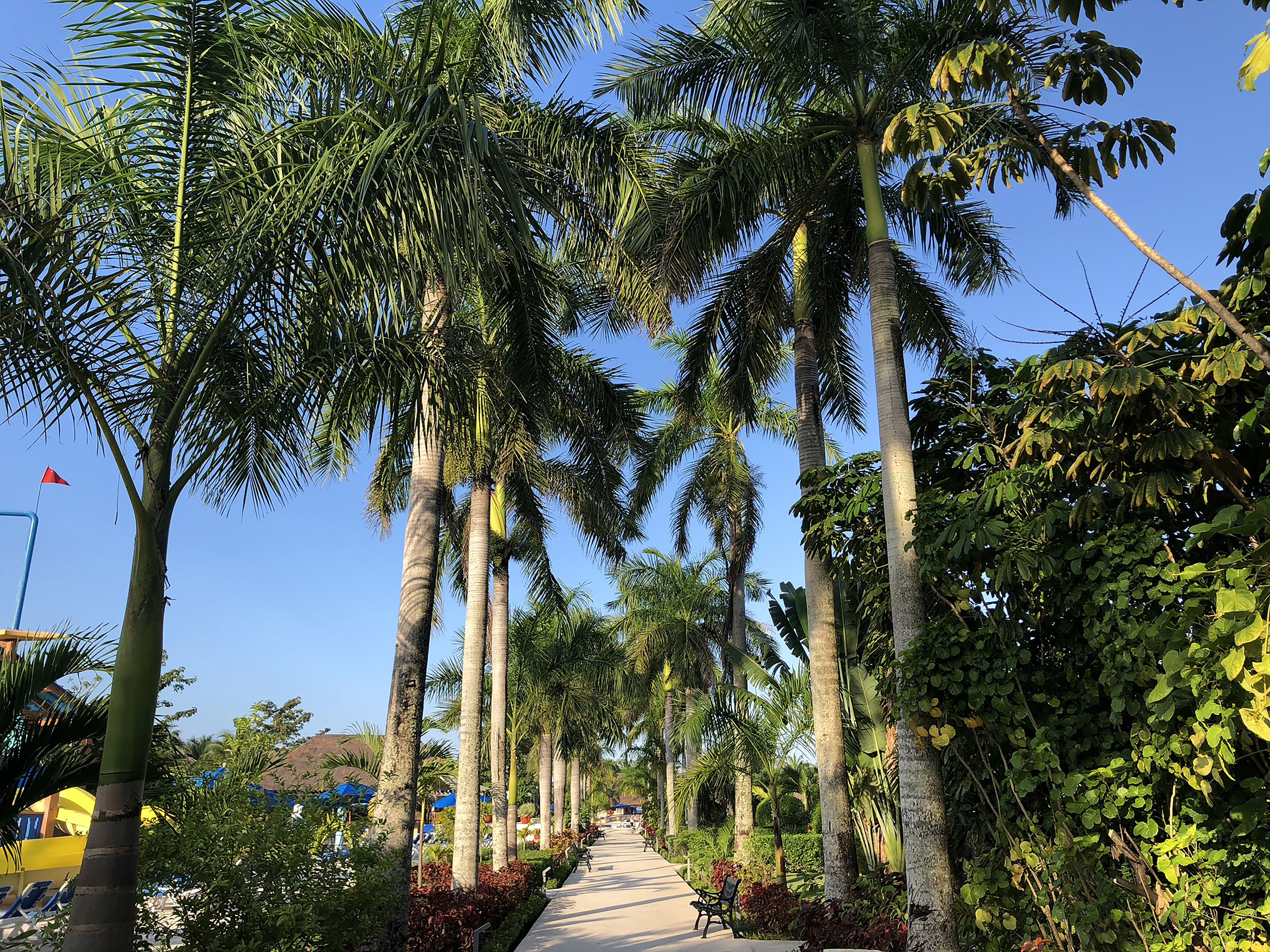 Foto - Allegro Cozumel All-Inclusive