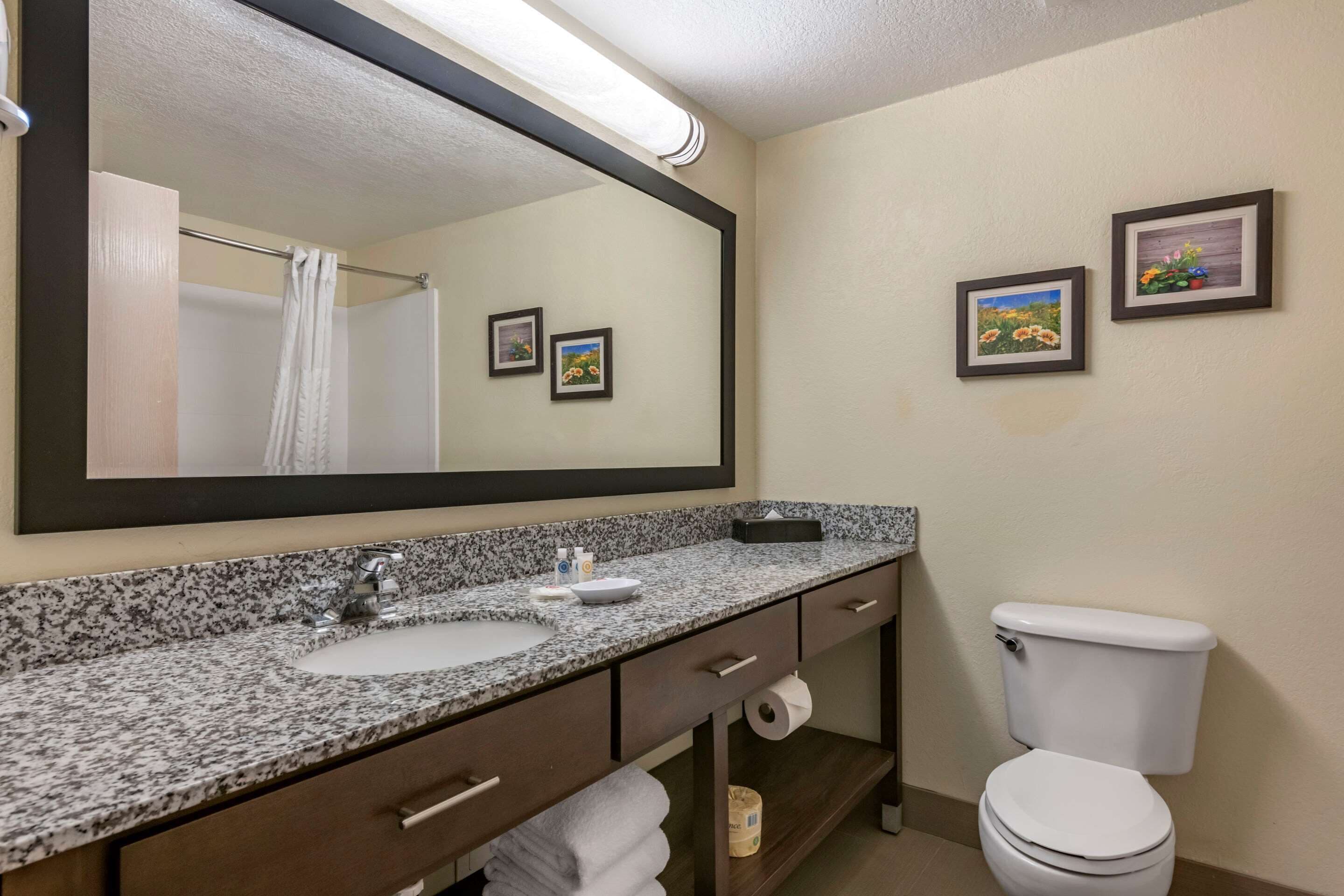 Een badkamer met een wastafel met een granieten blad, een spiegel, een toilet en twee ingelijste foto's aan de muur.