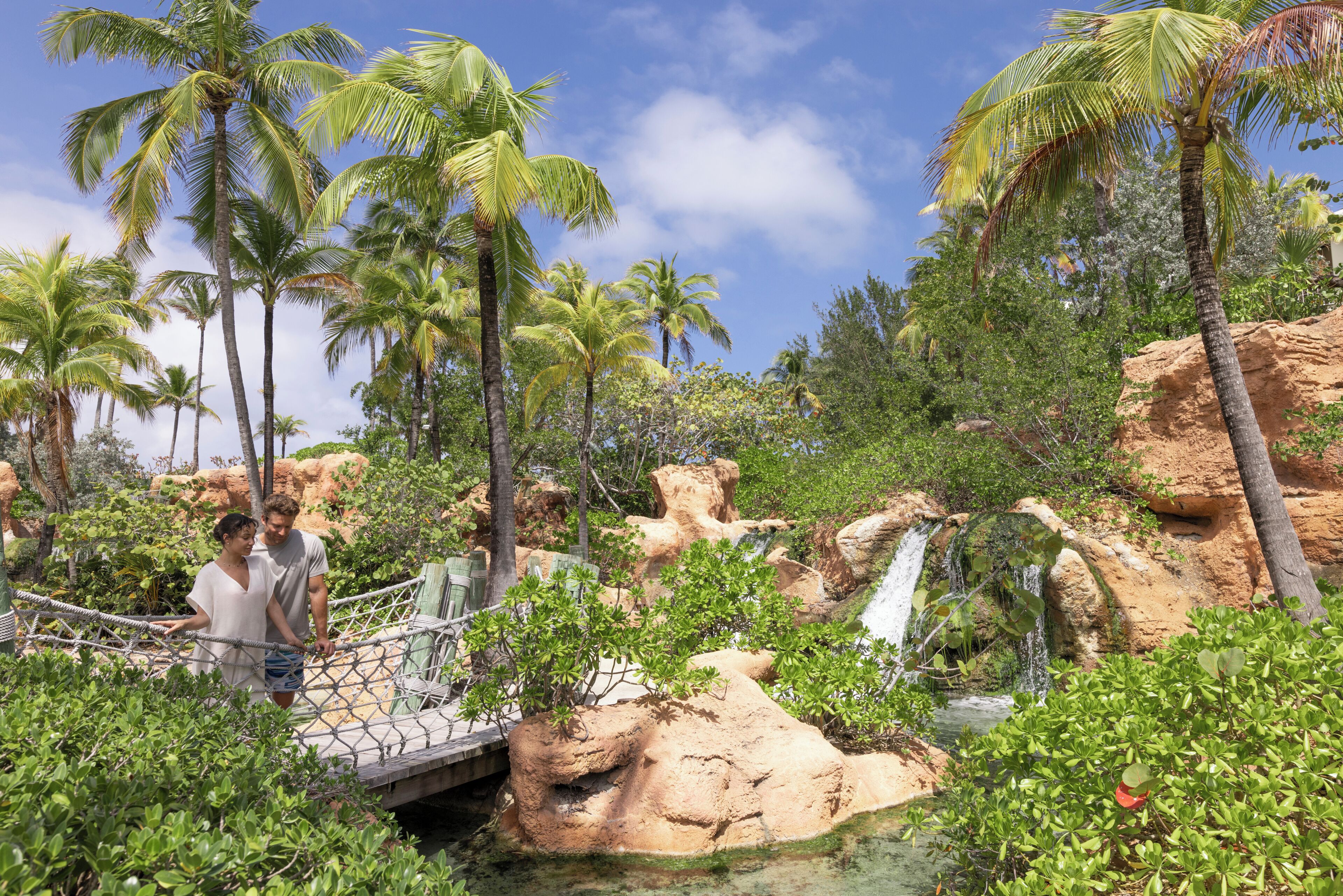 A tropical garden with palm trees, a bridge, and a waterfall.