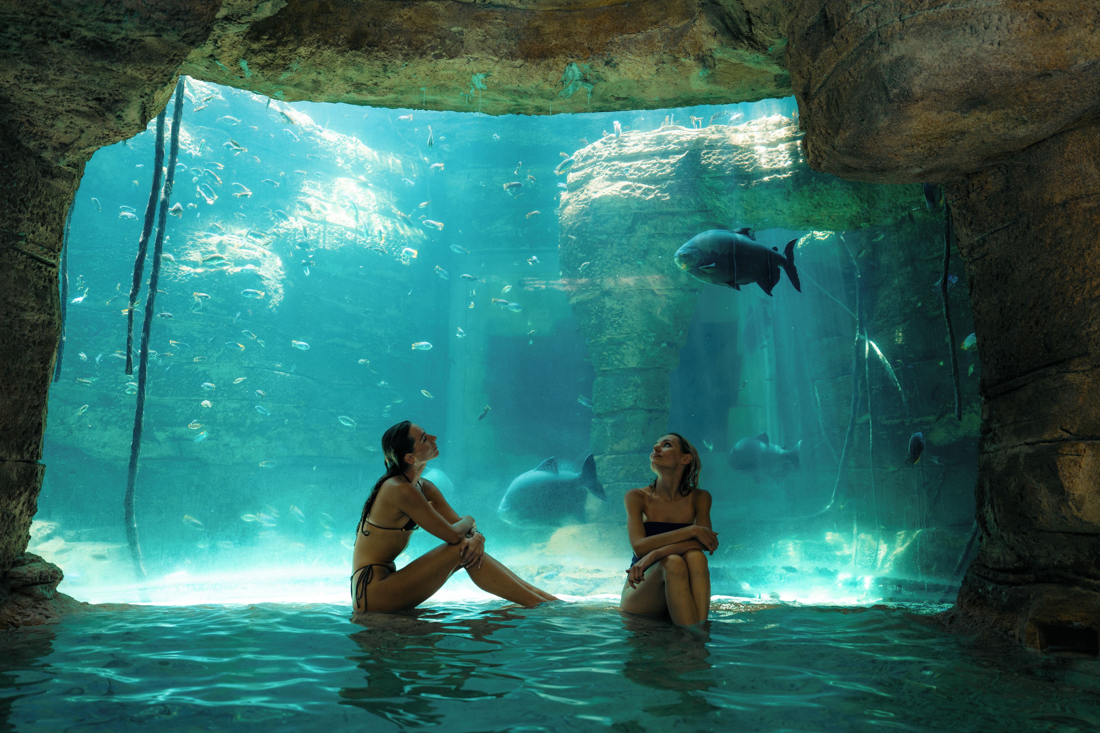 An underwater viewing area with clear water, large glass walls, and a rocky cave-like structure.