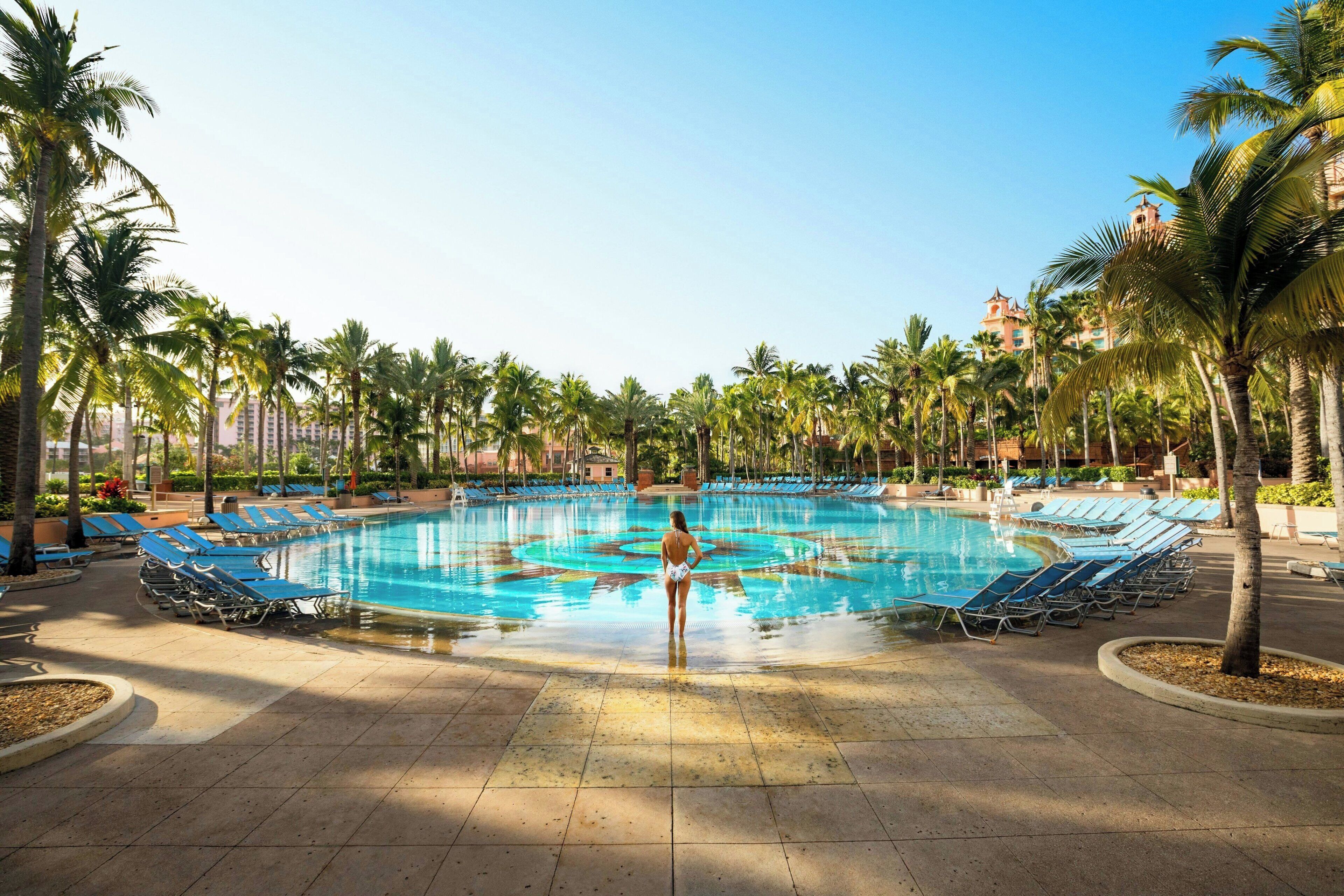 Una piscina con sillas de descanso, palmeras y un edificio al fondo.