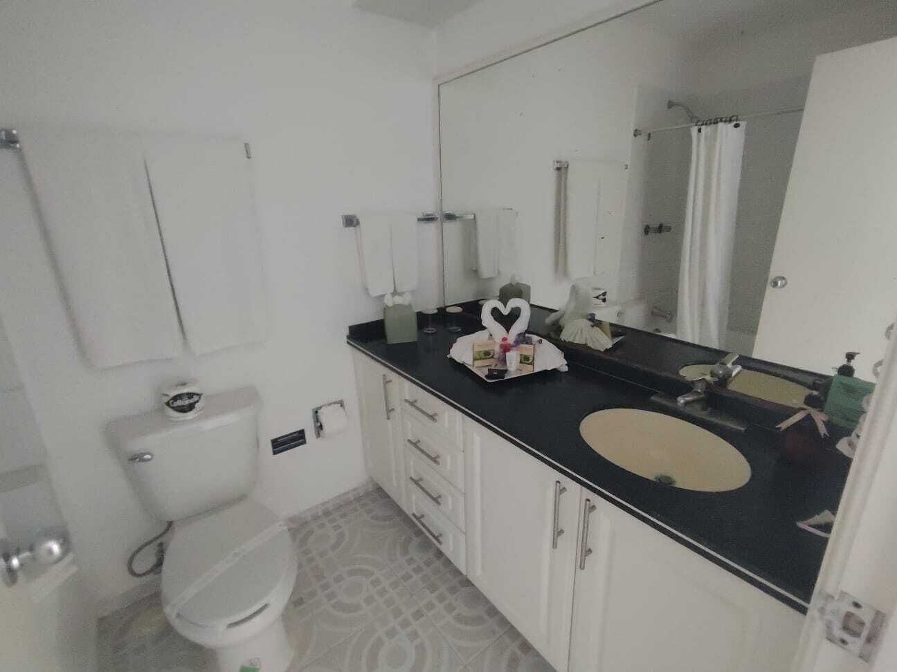 Une salle de bain équipée de toilettes, d’un lavabo, d’un miroir et de placards.