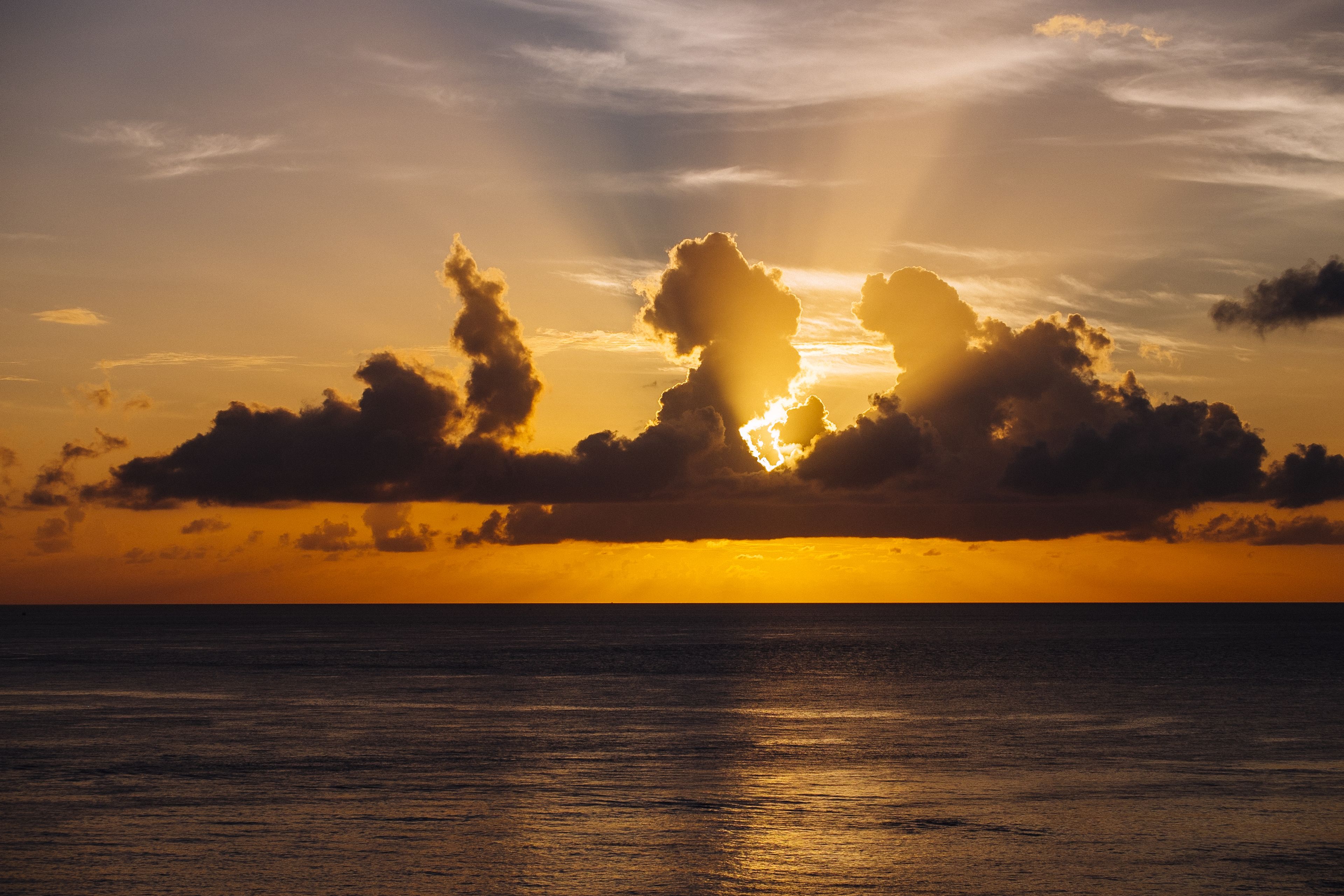 Foto - Coral Princess Hotel & Dive Resort