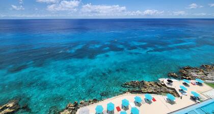 Coral Princess Hotel & Dive Resort