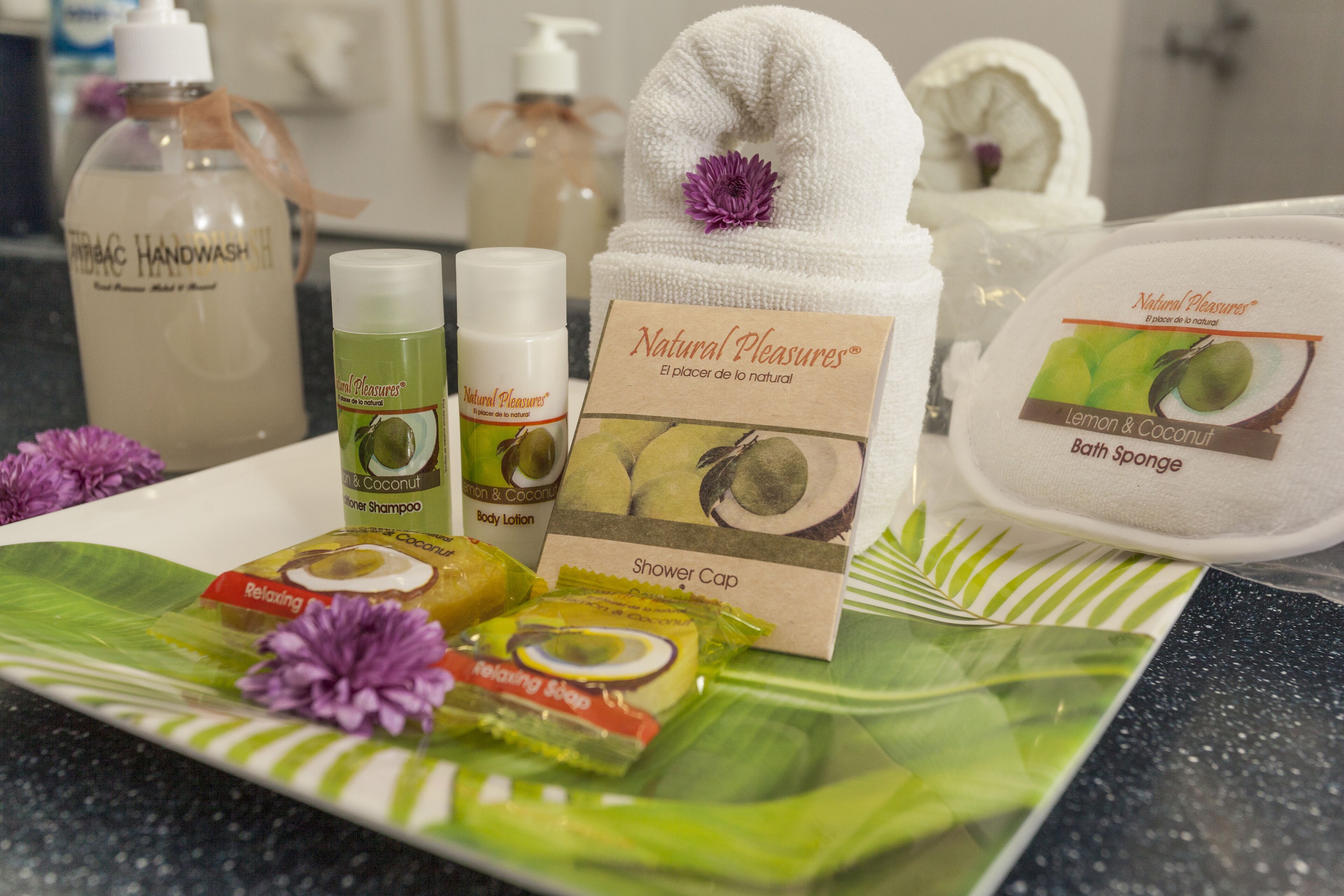 suite (one bedroom suite jungla) | in-room safe, individually decorated, individually furnished, desk