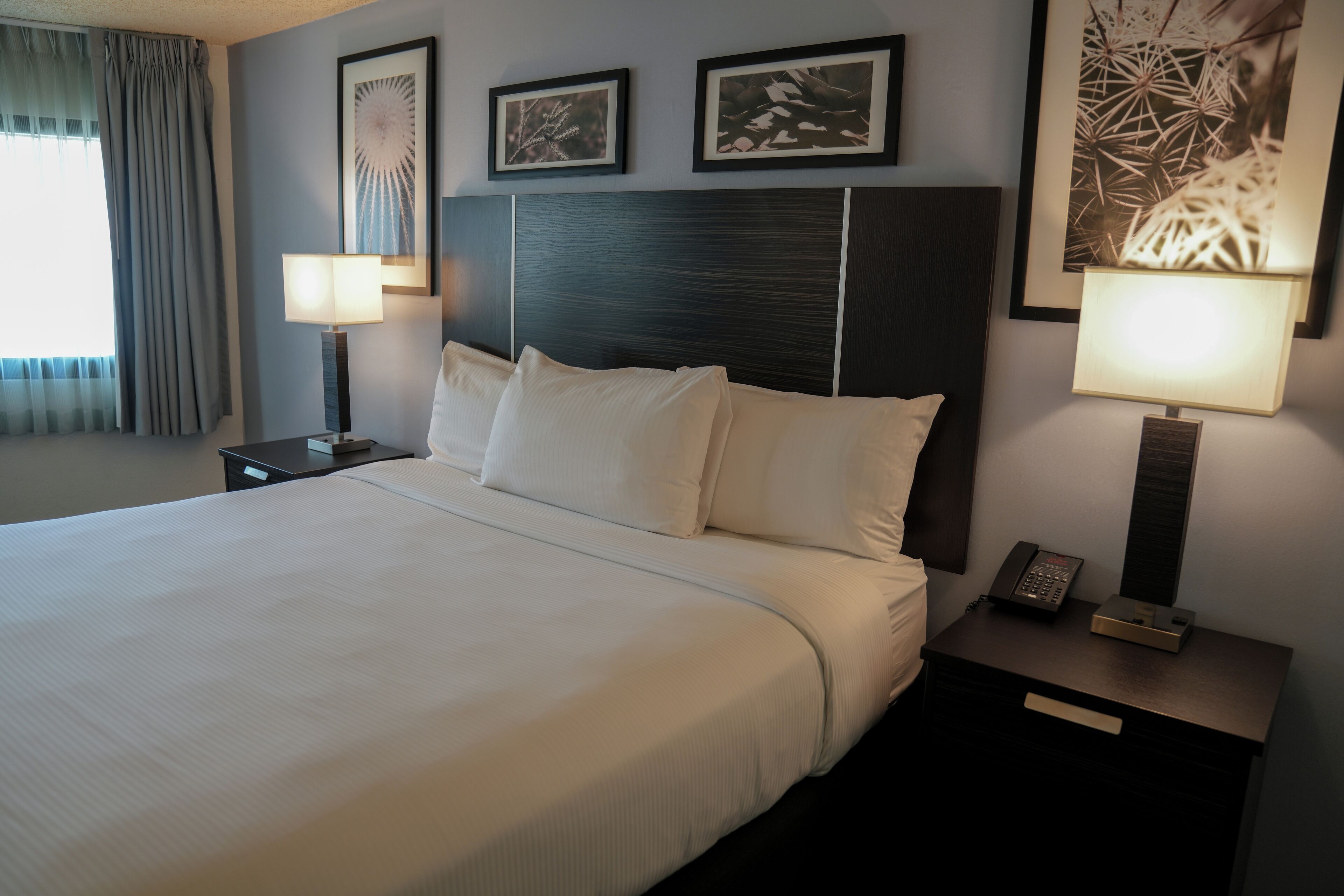 Foto - Silver Sevens Hotel & Casino