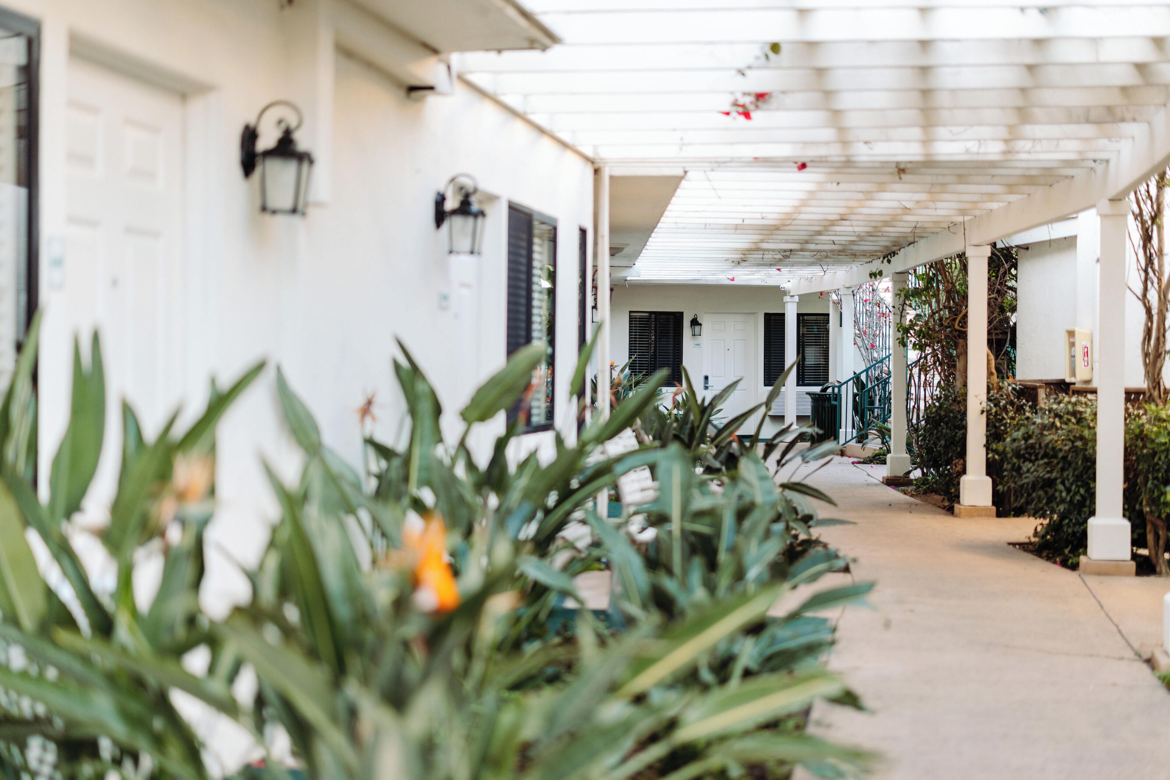A covered walkway with white walls and black shutters, leading to a building entrance.