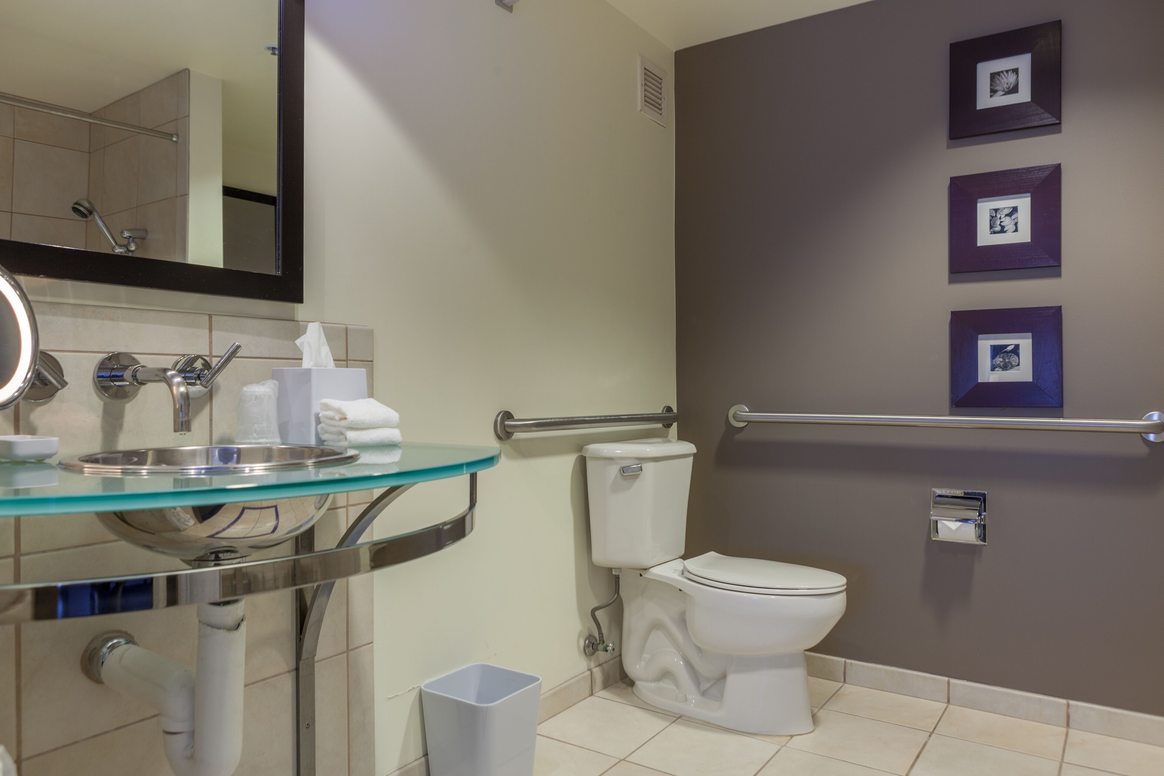 aloft, room, 1 king bed | accessible bathroom