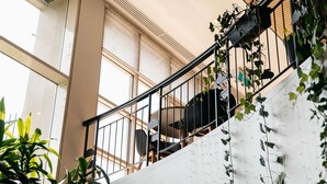 A staircase with a metal railing, surrounded by greenery and large windows. - Mercure Sydney Parramatta (Rosehill)
