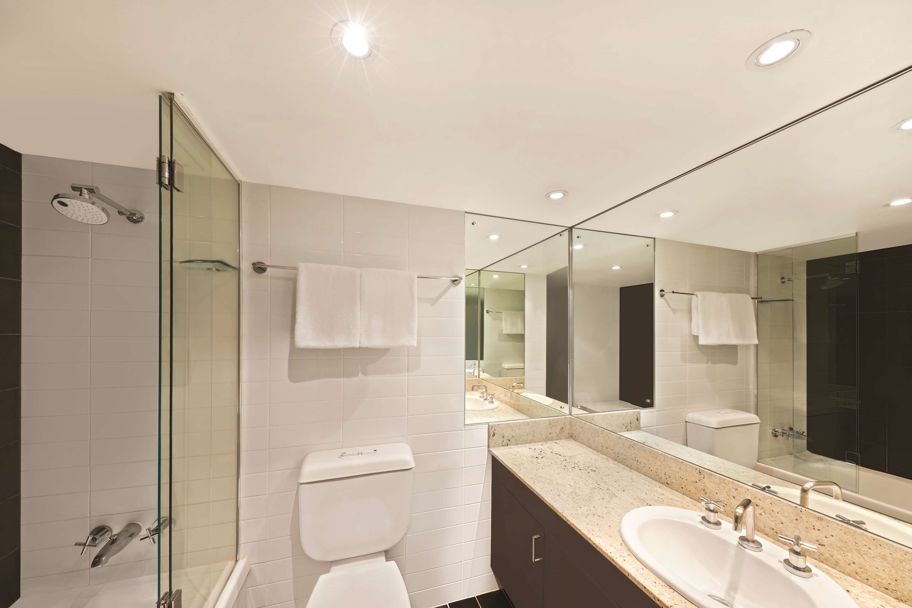 A modern bathroom with a glass-enclosed shower, a white toilet, a sink with a large mirror, and dark-toned cabinets.