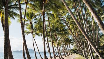 在海滩、沙滩毛巾