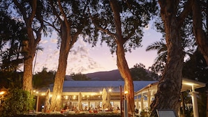 Ein Restaurant mit Außenbereich, umgeben von großen Bäumen und einem Berg im Hintergrund.