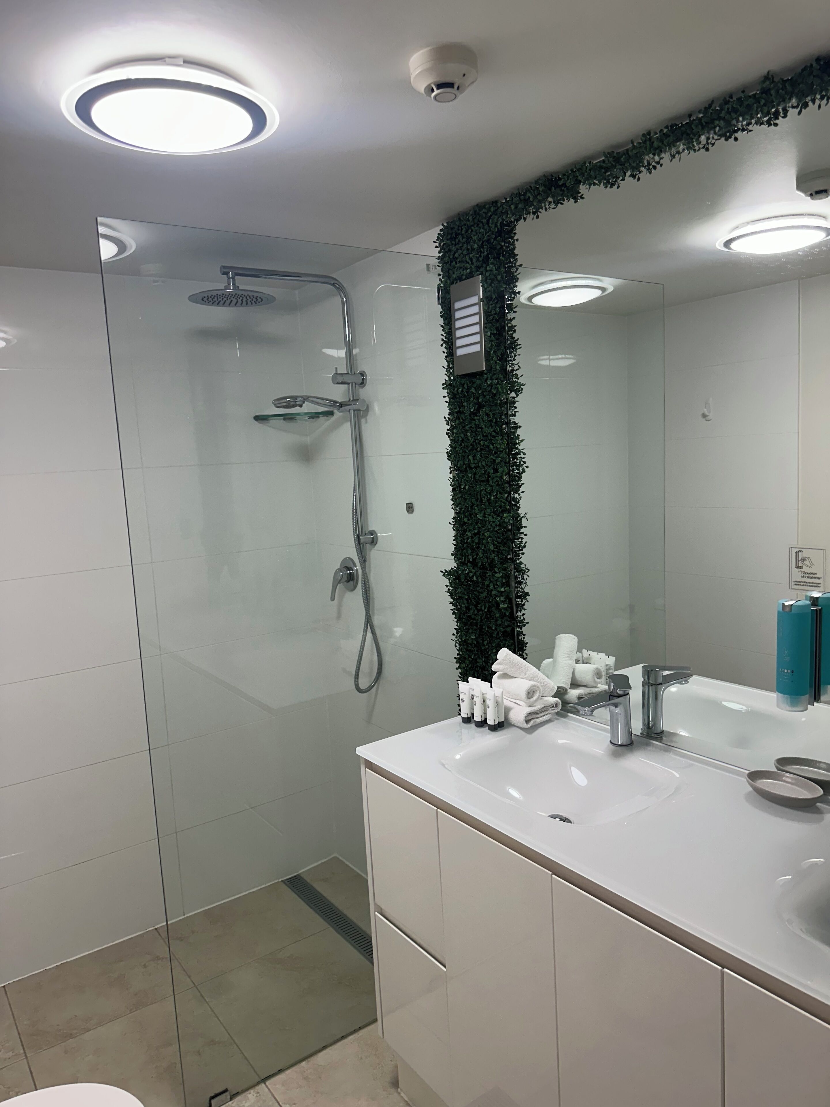 Et moderne badeværelse med et glasafskærmet brusebad, et hvidt møbel med spejl og en grøn plante.