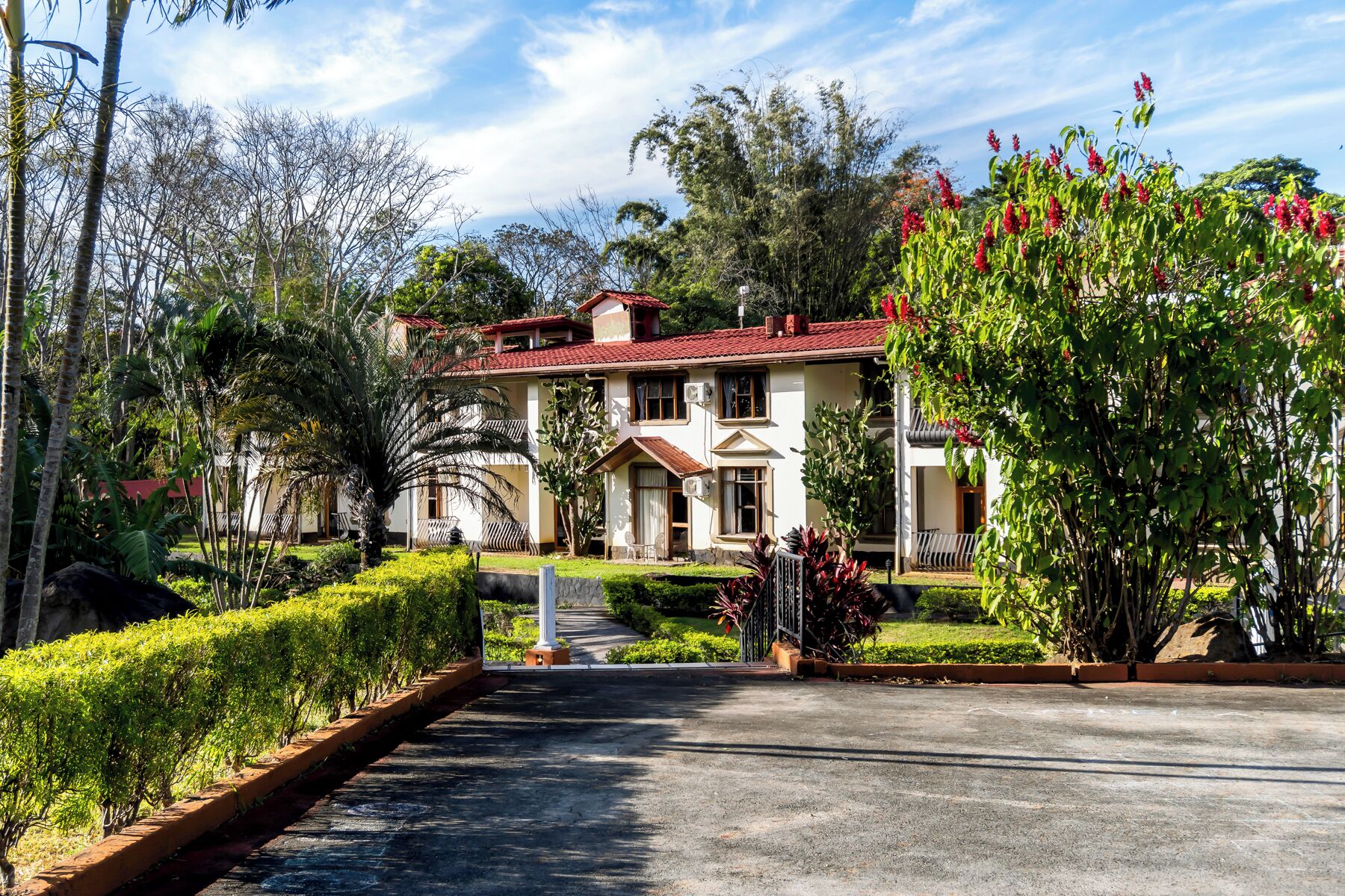 junior suite | in-room safe, desk, free cots/infant beds, free rollaway beds