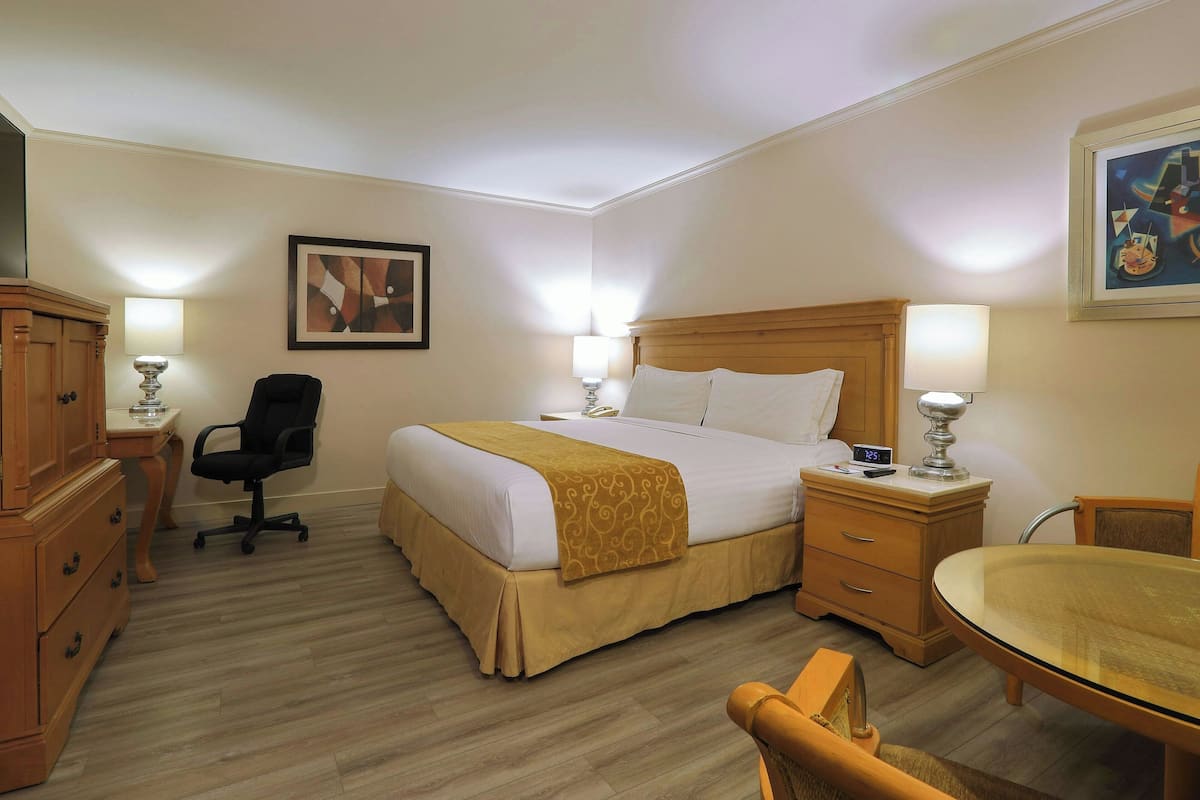 Chambre, 1 trĂšs grand lit, non-fumeur (No View)