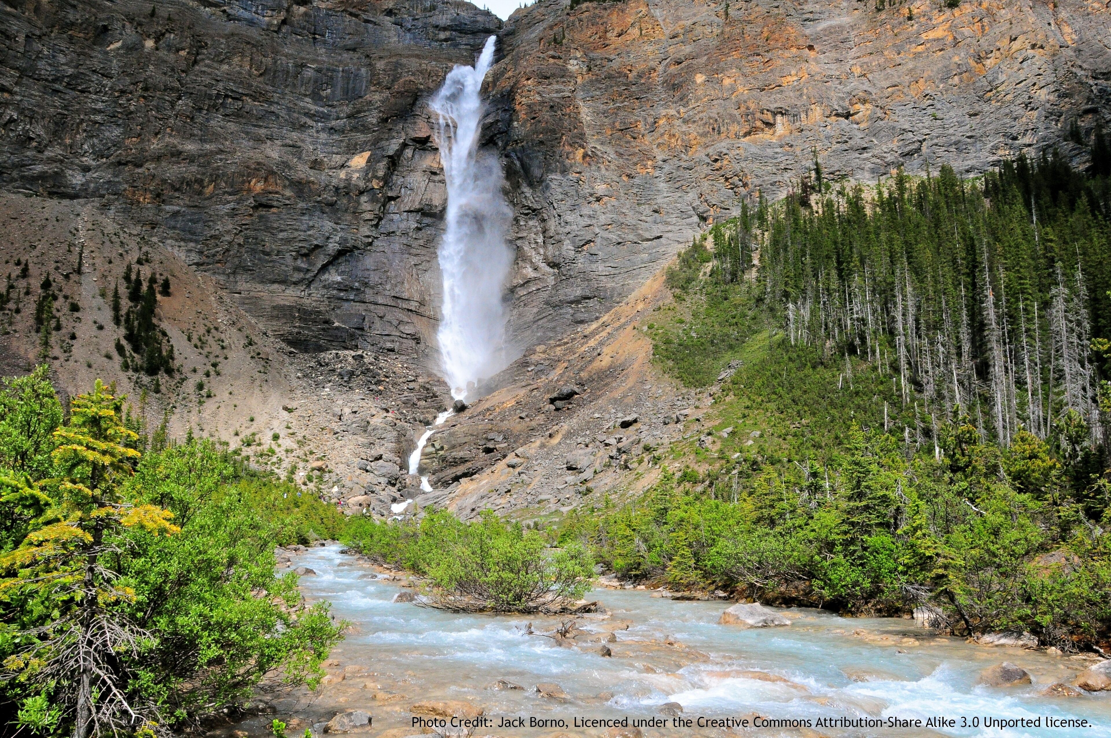 Foto - Banff Park Lodge