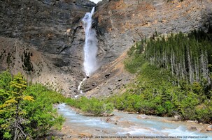 Una cascada se precipita por un risco rocoso rodeado de un bosque denso.