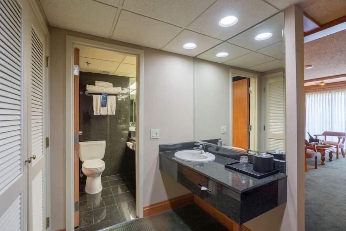 Bathroom | Shower, eco-friendly toiletries, hair dryer, towels