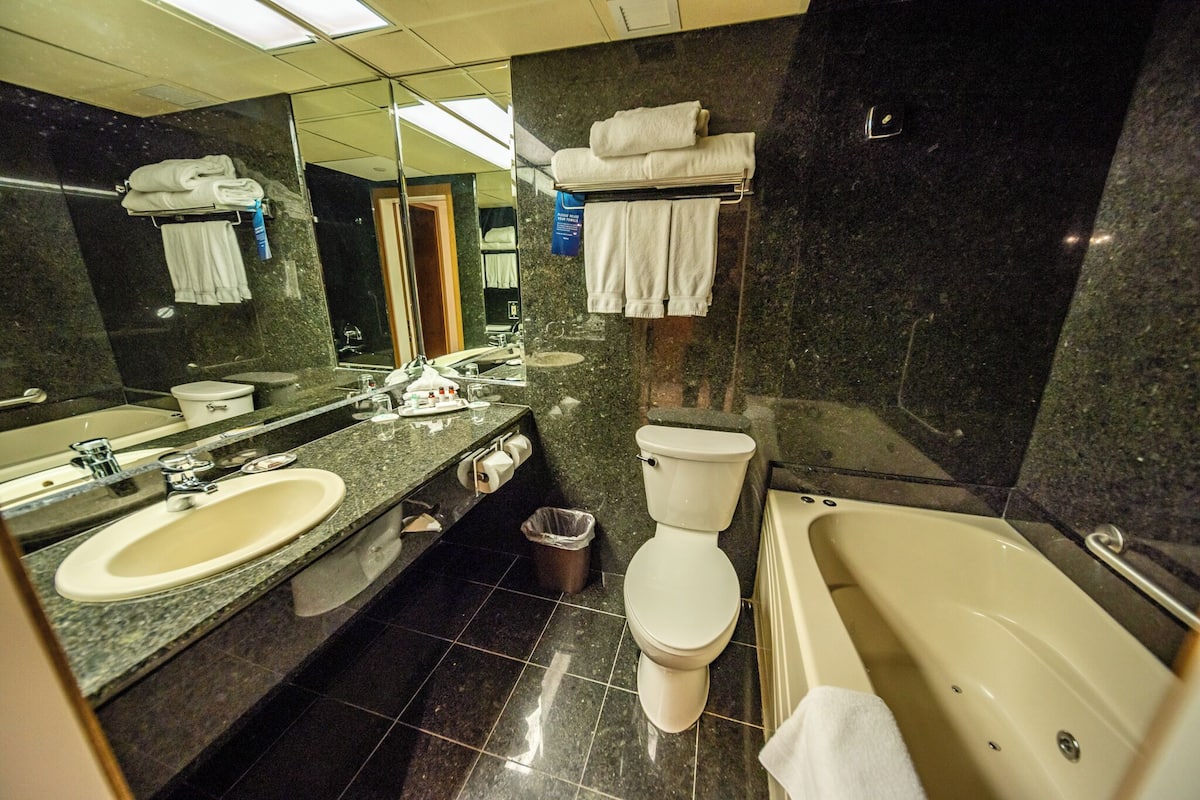 lodge suite | bathroom | shower, eco-friendly toiletries, hair dryer, towels