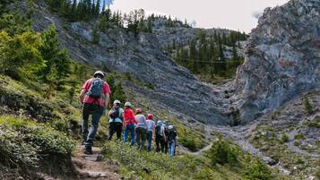 A group of hikers on a rocky trail surrounded by greenery and mountains.