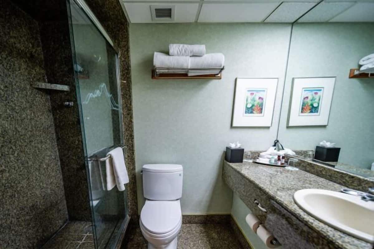 Bathroom | Shower, eco-friendly toiletries, hair dryer, towels