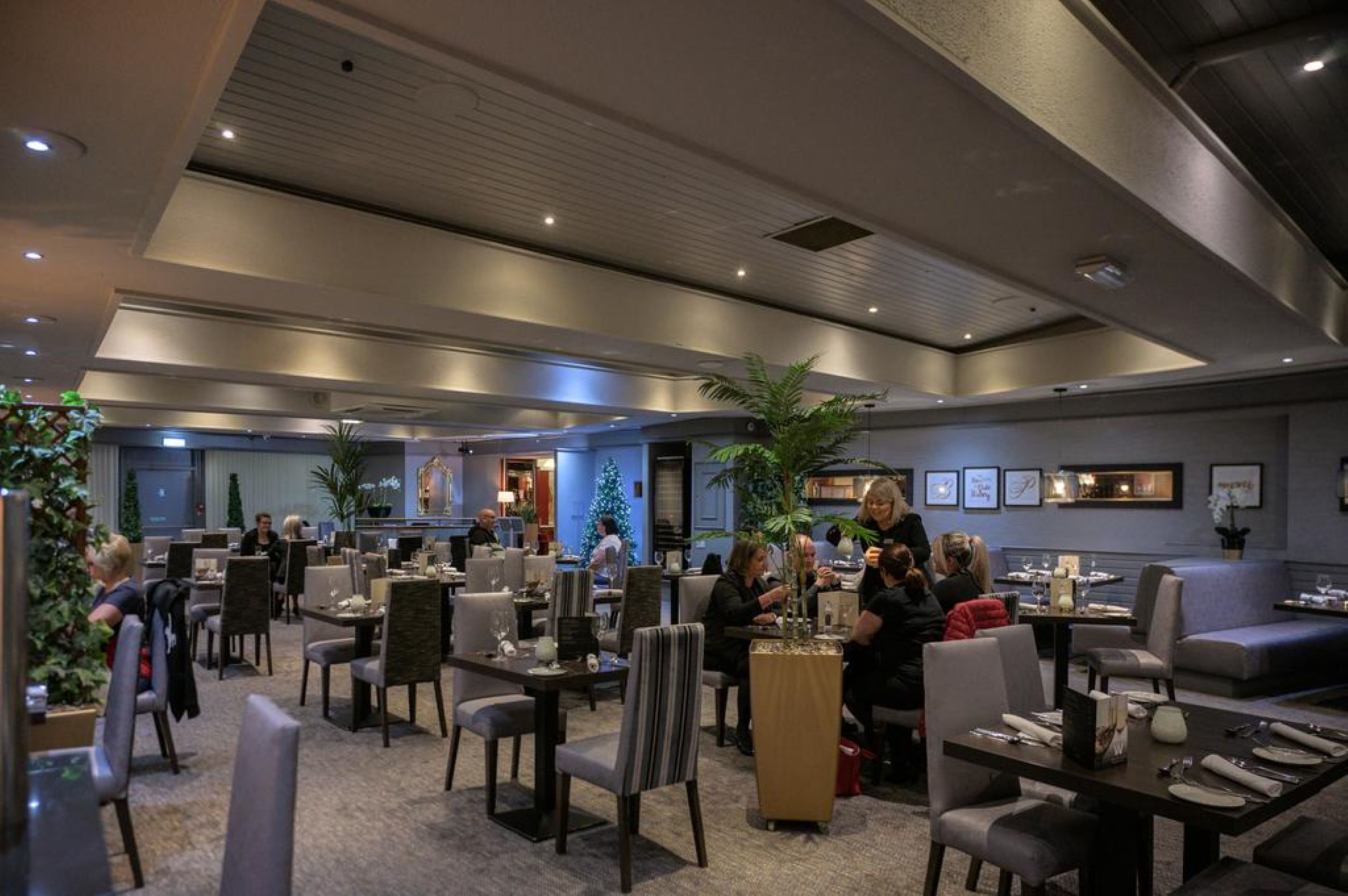 A modern dining area with multiple tables and chairs, a reception desk, and a Christmas tree.