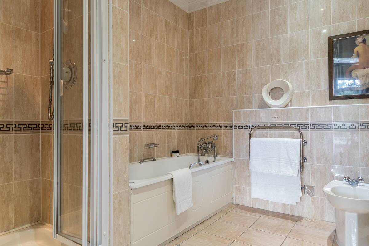 combined shower/bathtub, free toiletries, hair dryer, towels