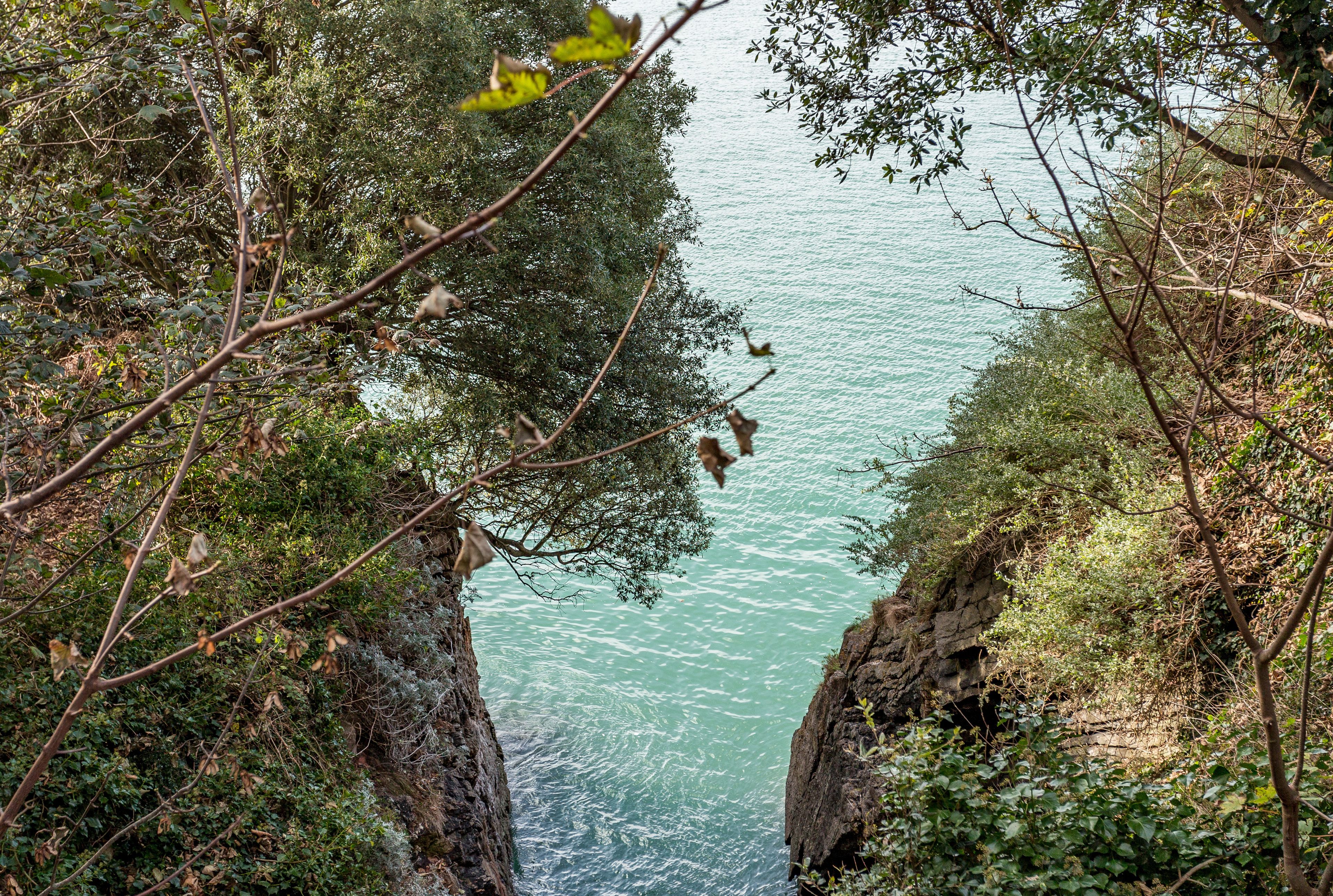 A natural landscape with a body of water surrounded by dense foliage and rocky cliffs.