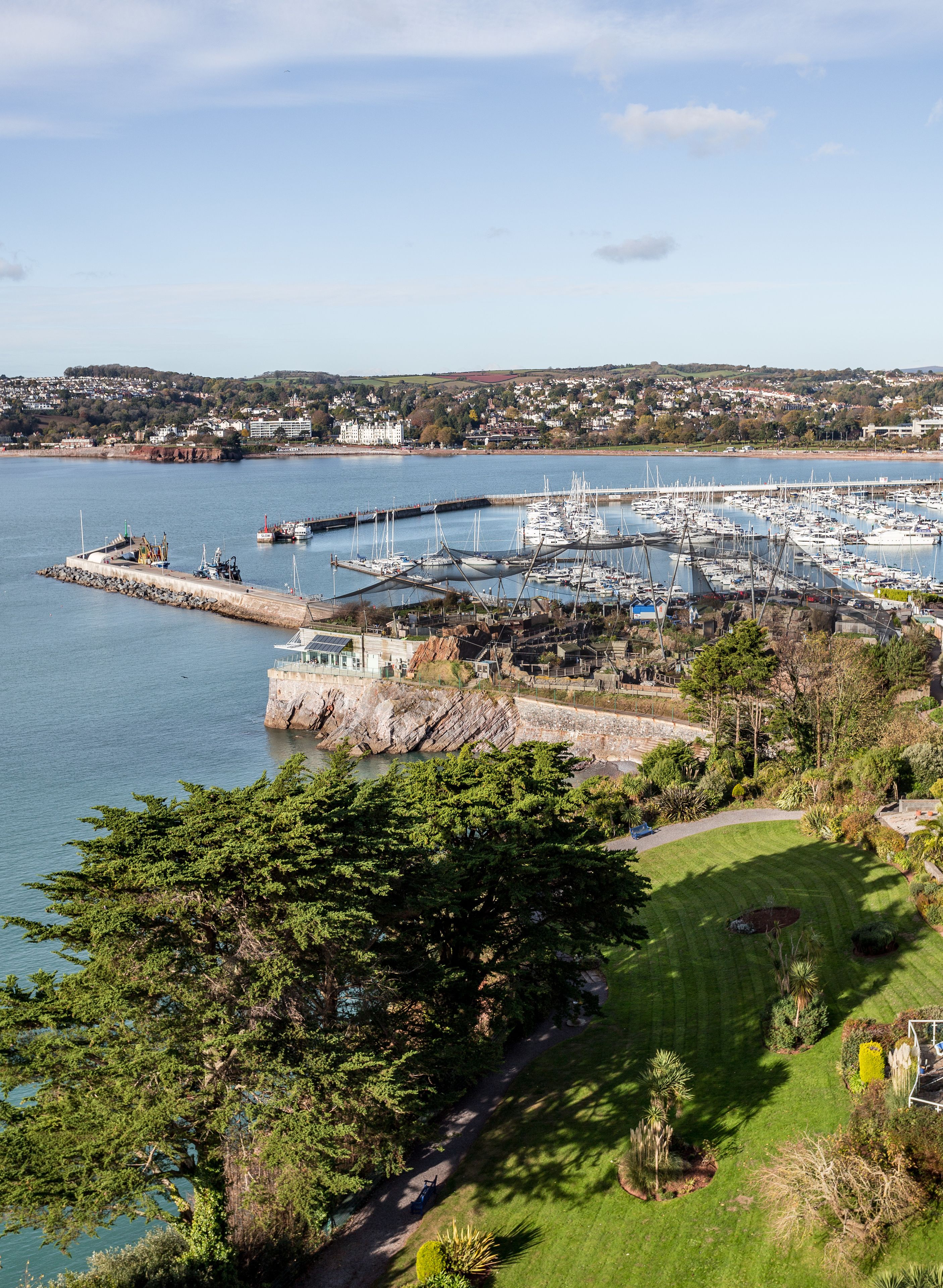 A marina with boats docked, a pier, and a view of a town in the background.