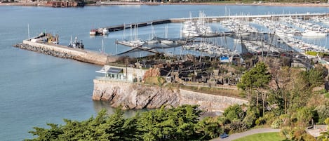 A marina with boats docked, a pier, and a view of a town in the background.