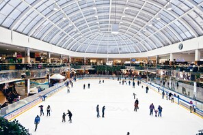 Ice skating