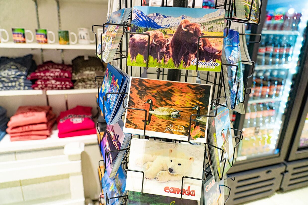 Foto - Fantasyland Hotel