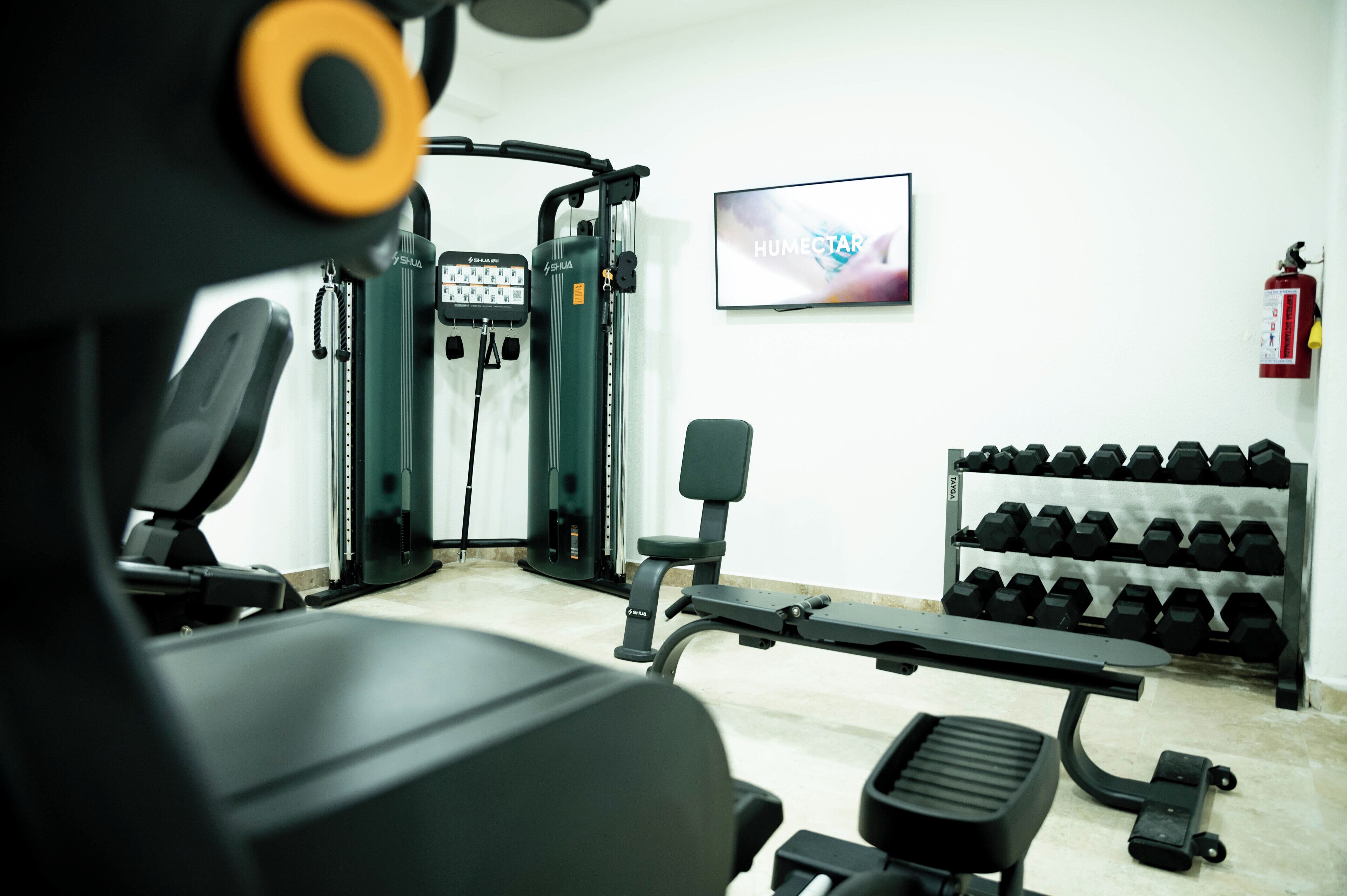 A gym with weightlifting equipment, dumbbells, and a television displaying the word "HUMECTAR".