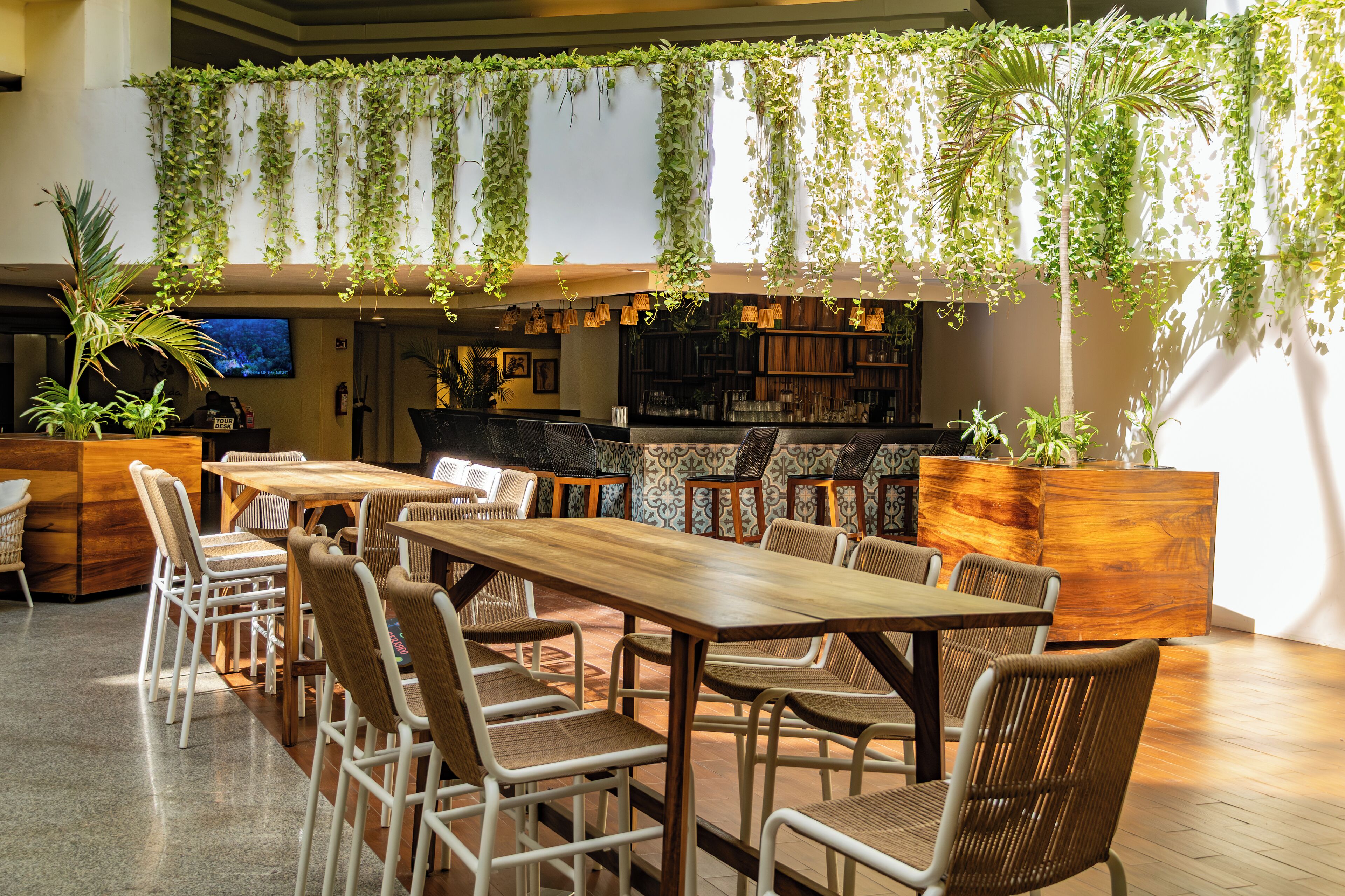 Foto - Friendly Fun Vallarta Different Experiences - All Inclusive