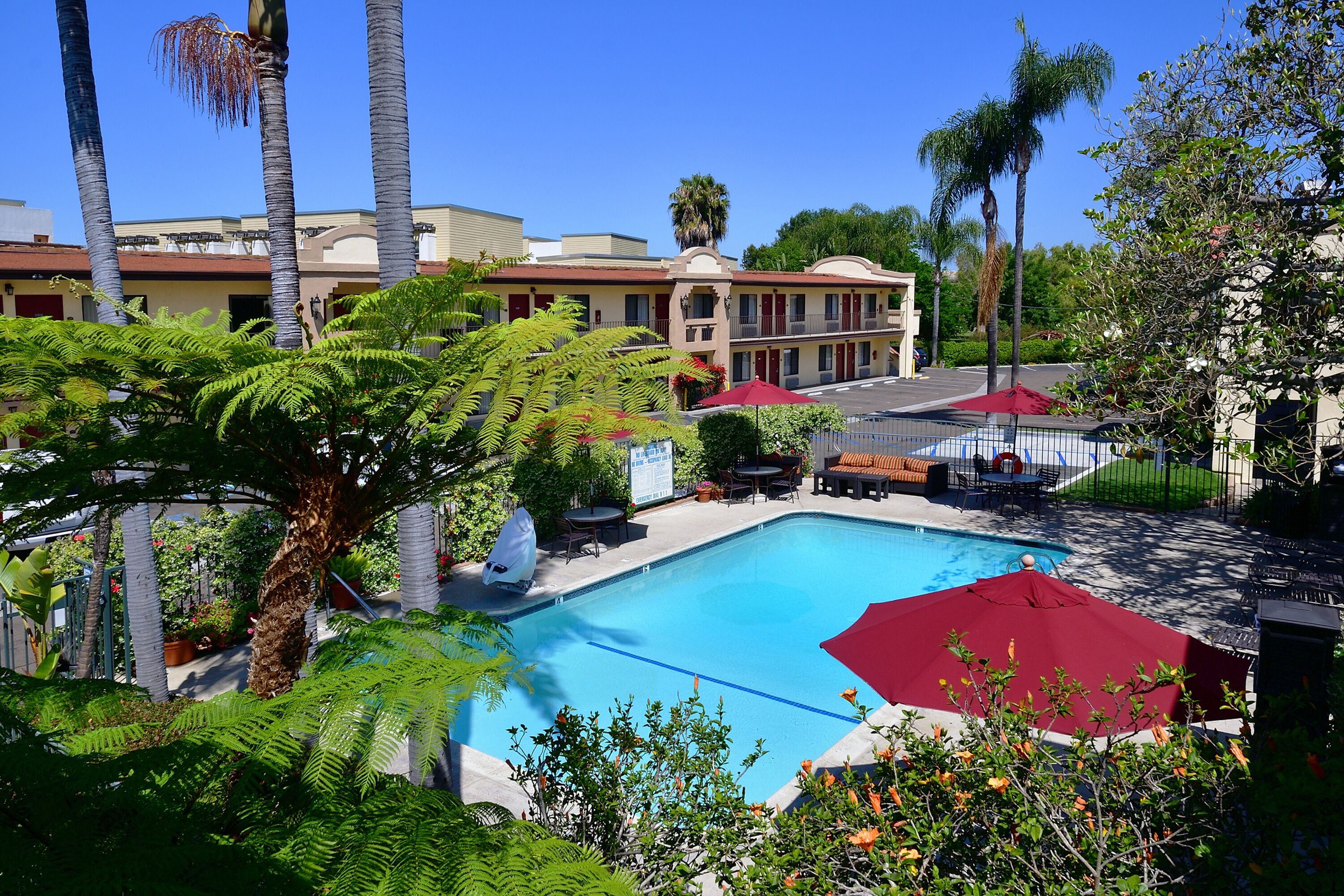 outdoor pool, pool umbrellas, pool loungers