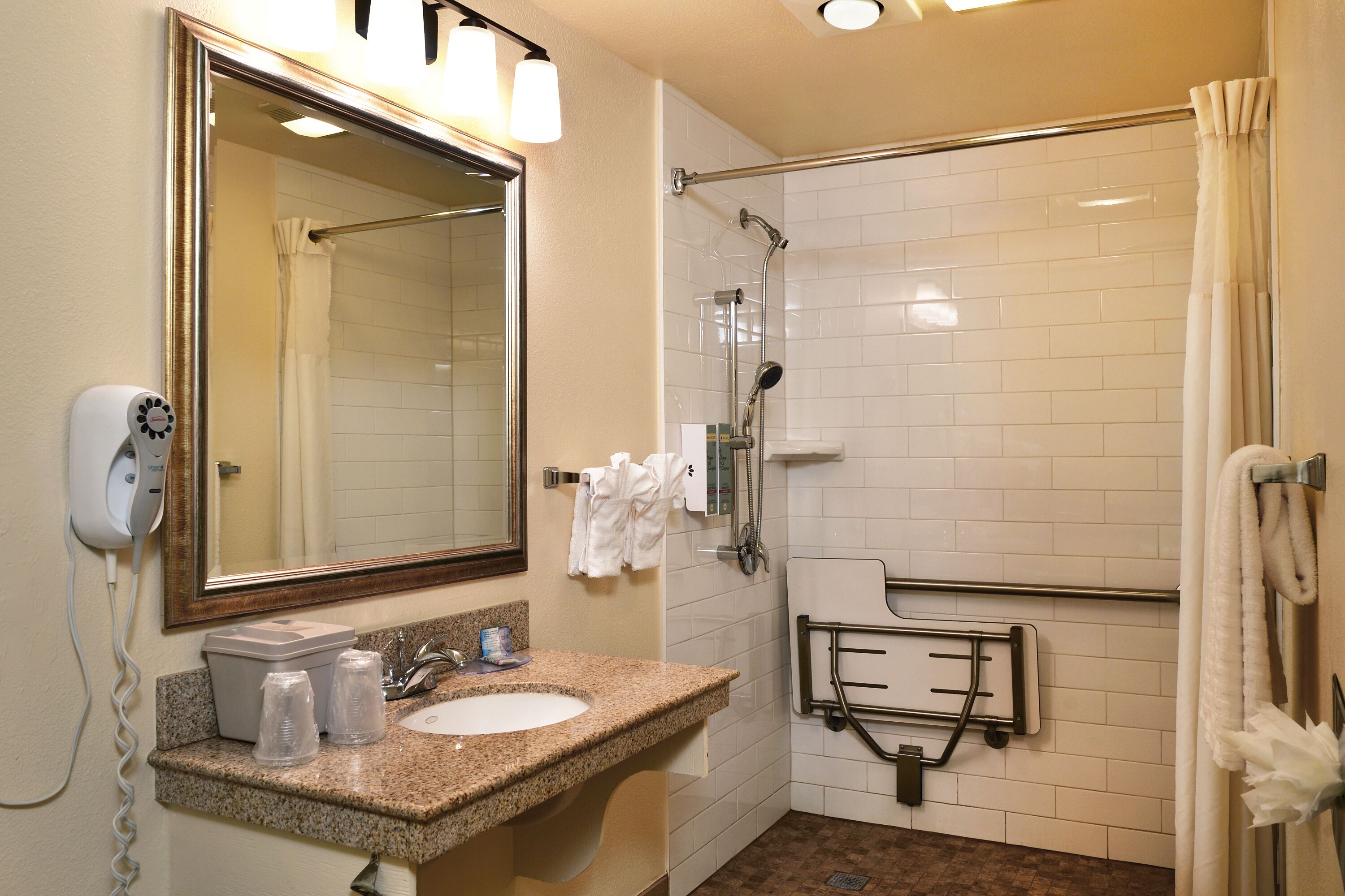 single king room, accessible w/ roll-in shower | bathroom | free toiletries, hair dryer, towels