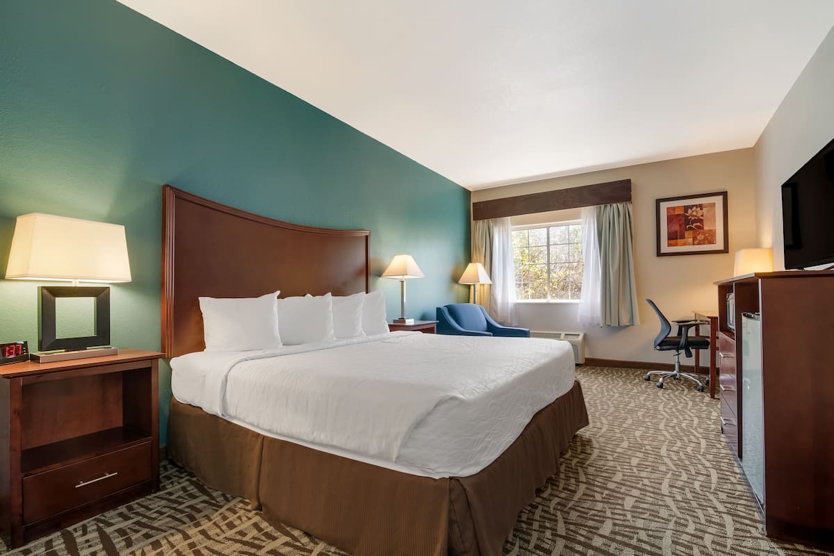 A hotel room with a large bed, two bedside lamps, a desk with a chair, a television, and a window with curtains.
