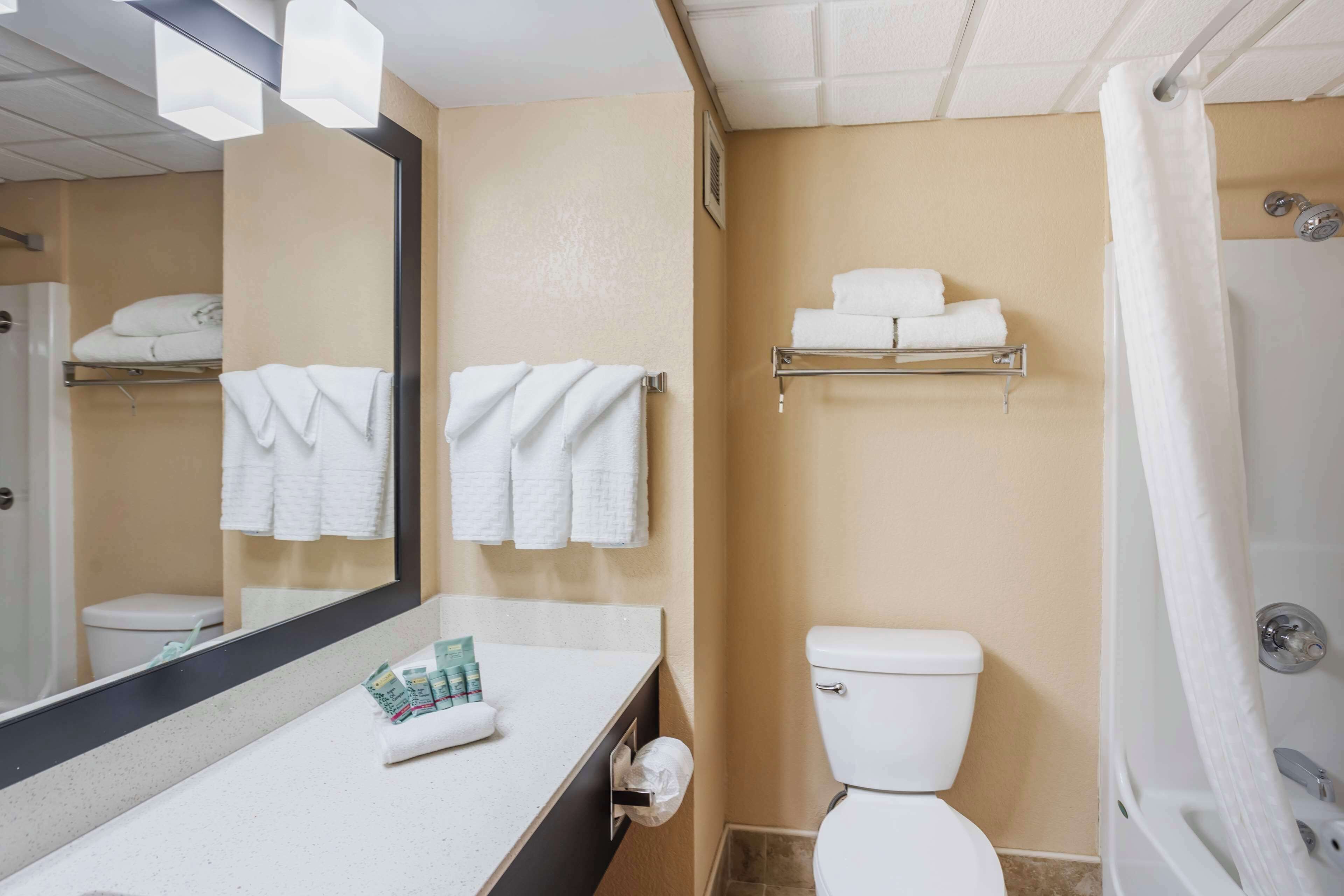 Une salle de bain comprenant des toilettes, un lavabo avec des articles de toilette, un miroir et un rideau de douche.