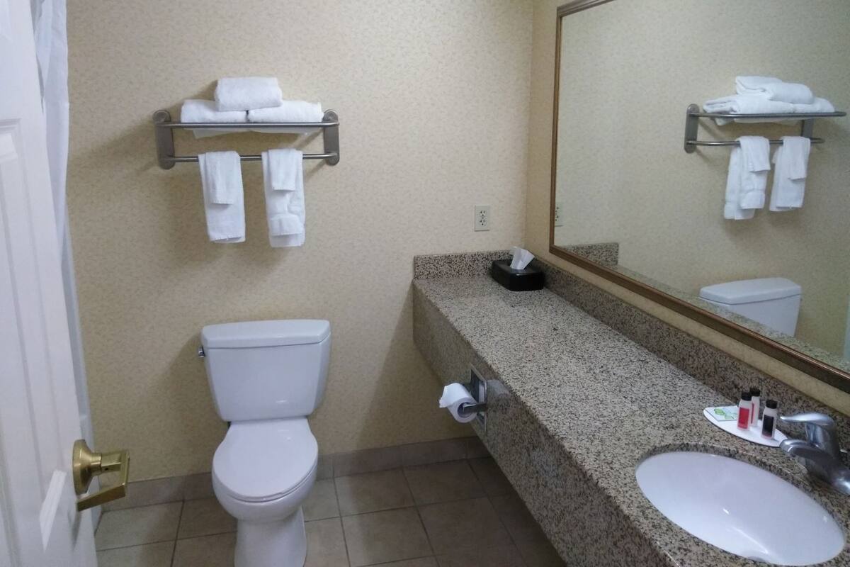 Een badkamer met een toilet, een wastafel, een spiegel en een handdoekrek met handdoeken.