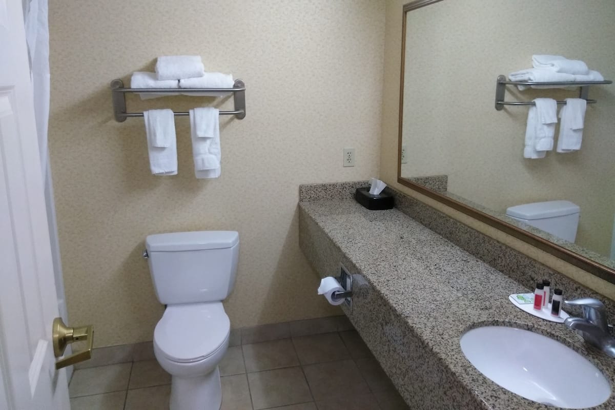 Camera, 1 letto king, non fumatori | Bagno | Combinazione doccia/vasca, set di cortesia gratuito, asciugacapelli