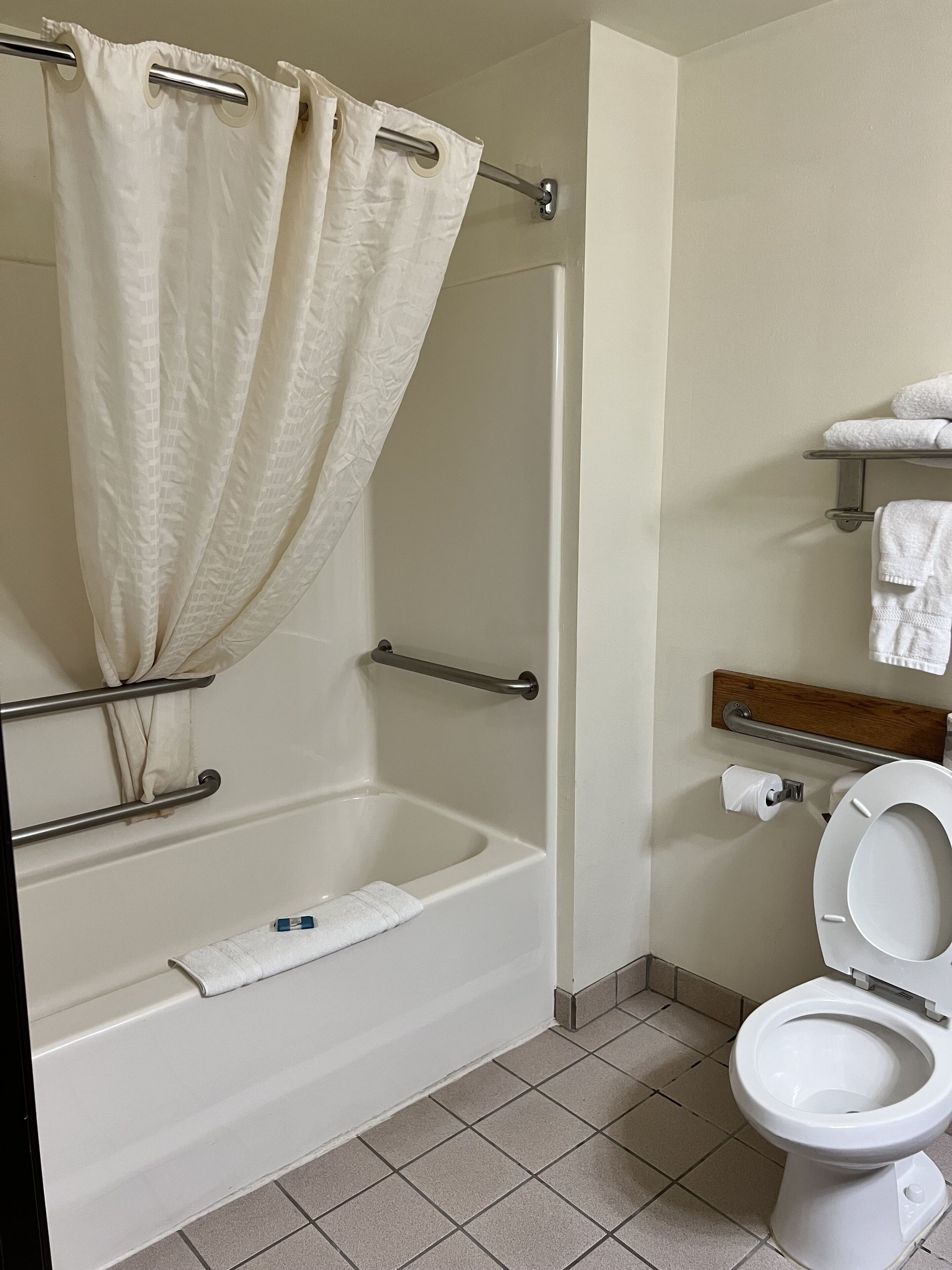 combined shower/bathtub, free toiletries, hair dryer, towels