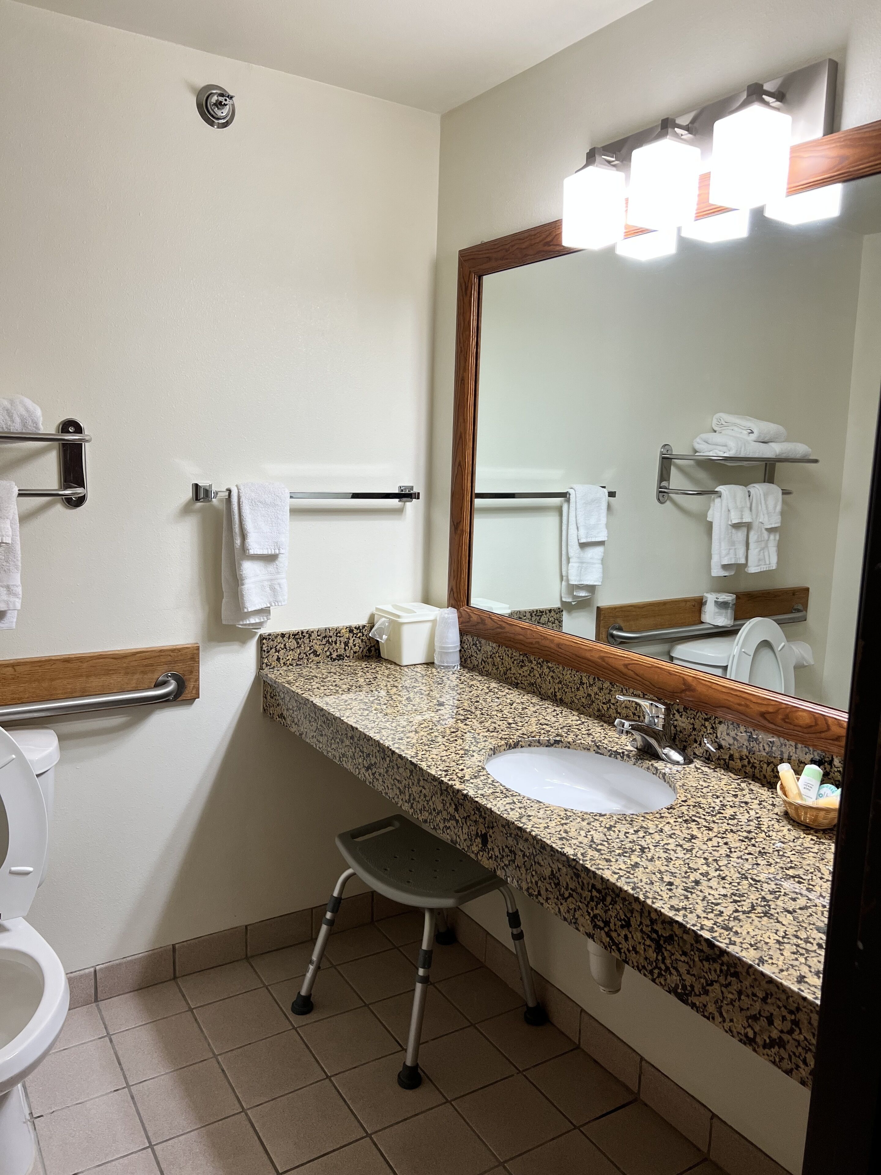 room, 1 king bed, accessible | bathroom | combined shower/bathtub, free toiletries, hair dryer, towels
