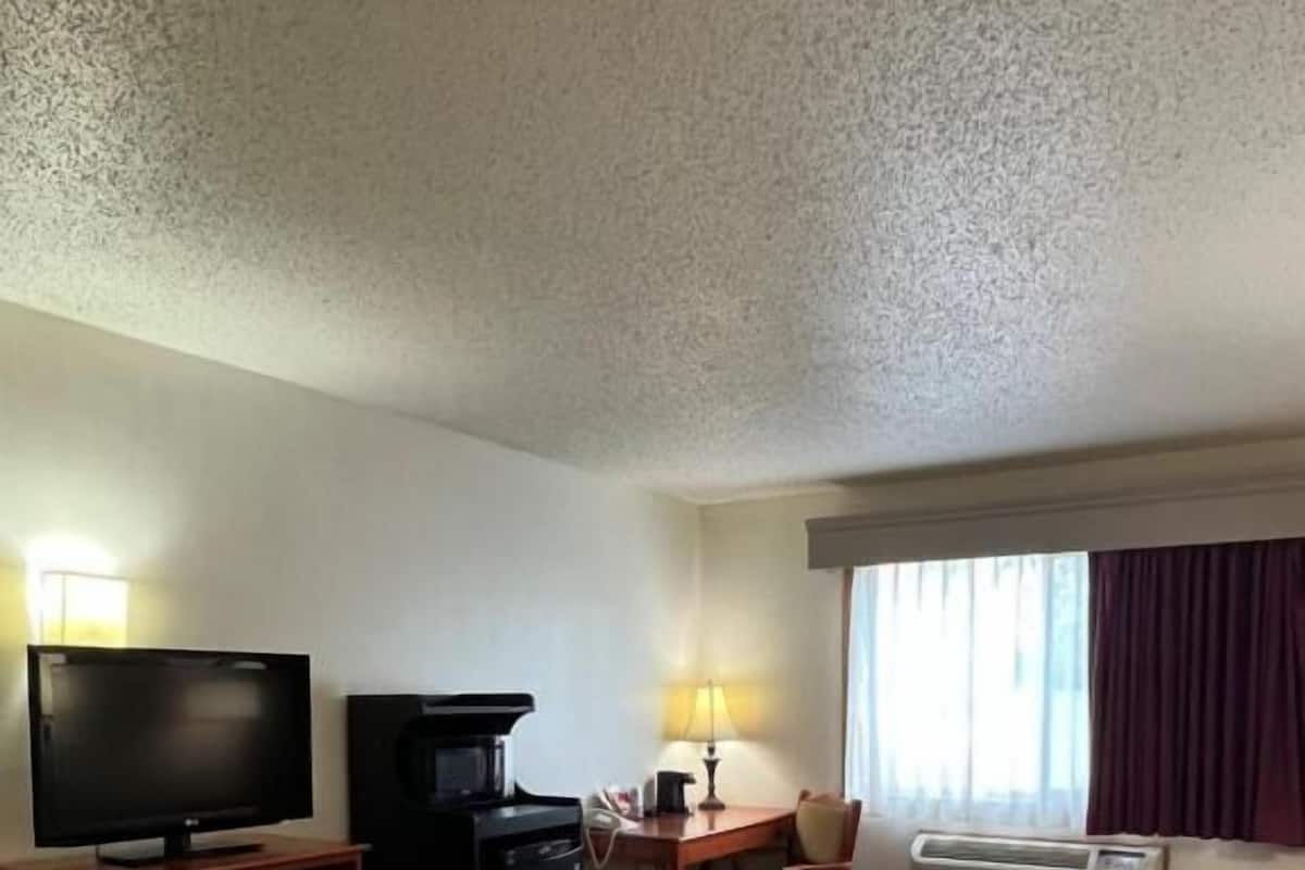 Suite, 1 King Bed