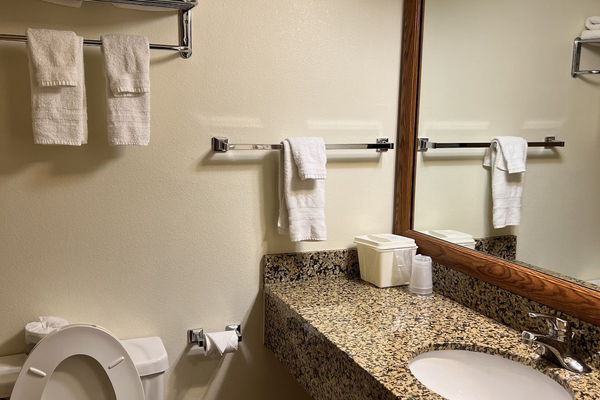 combined shower/bathtub, free toiletries, hair dryer, towels