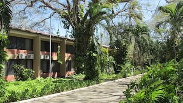 Pemandangan dari hartanah