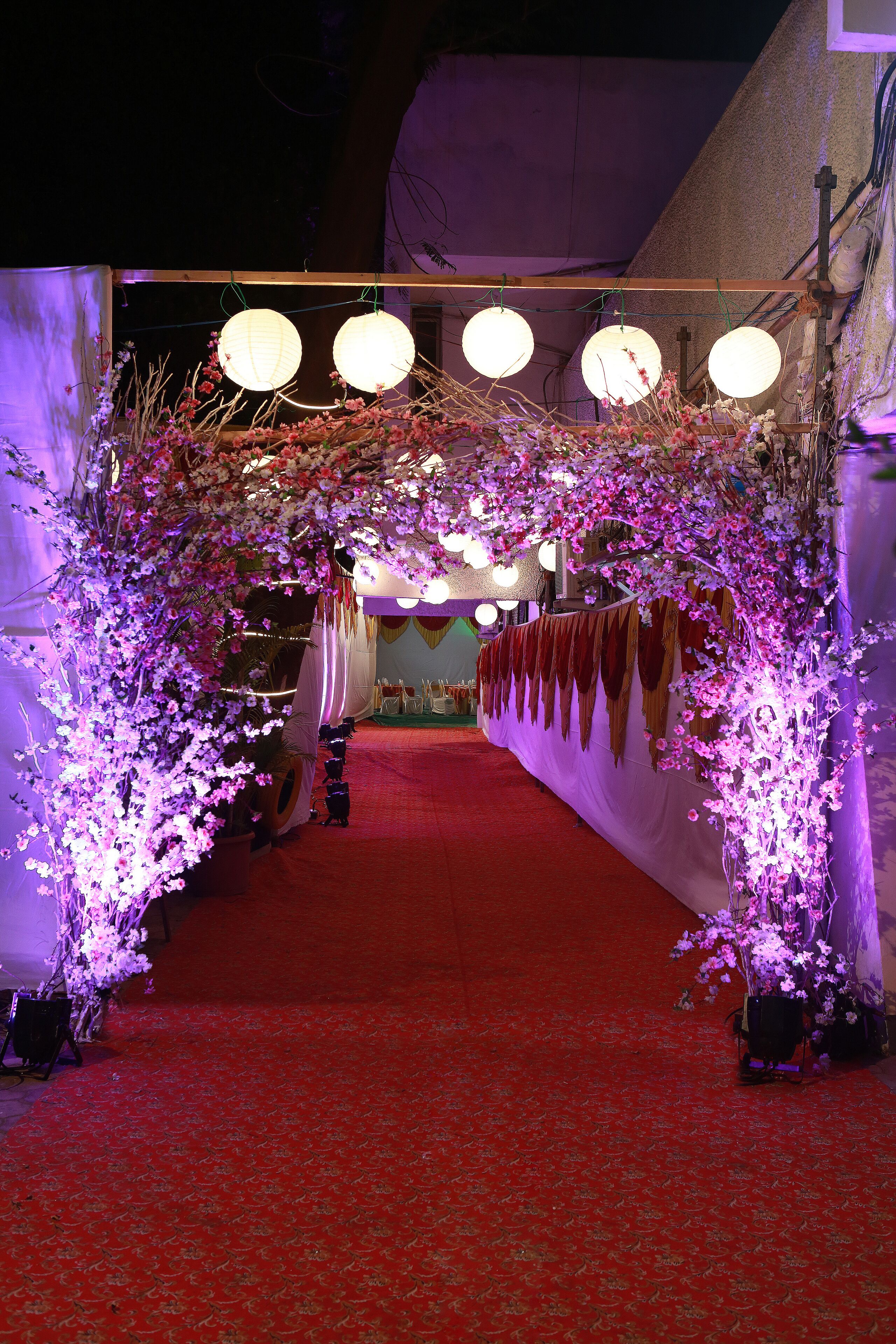 Outdoor wedding area